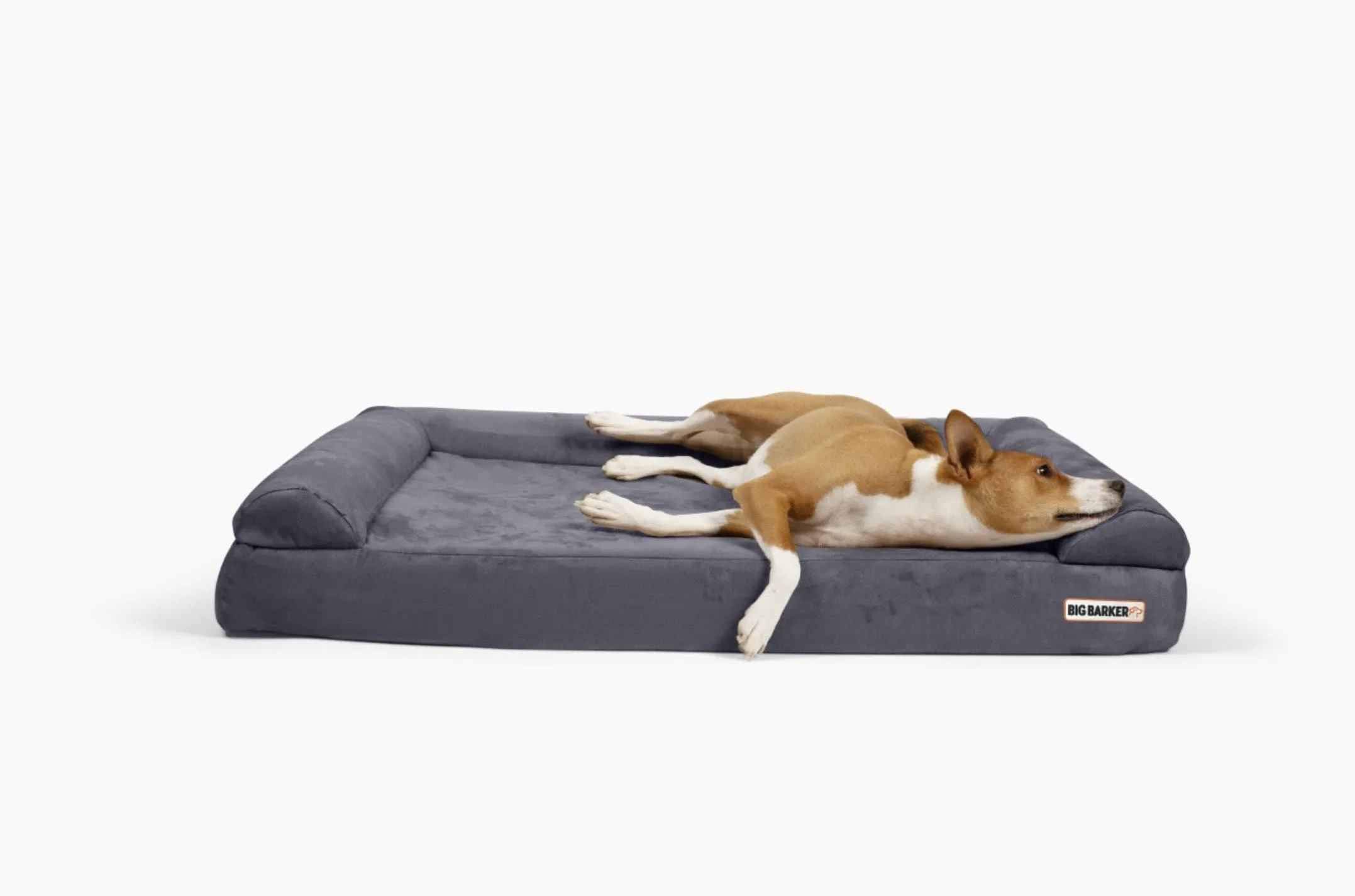 4" Orthopedic Sofa Bed