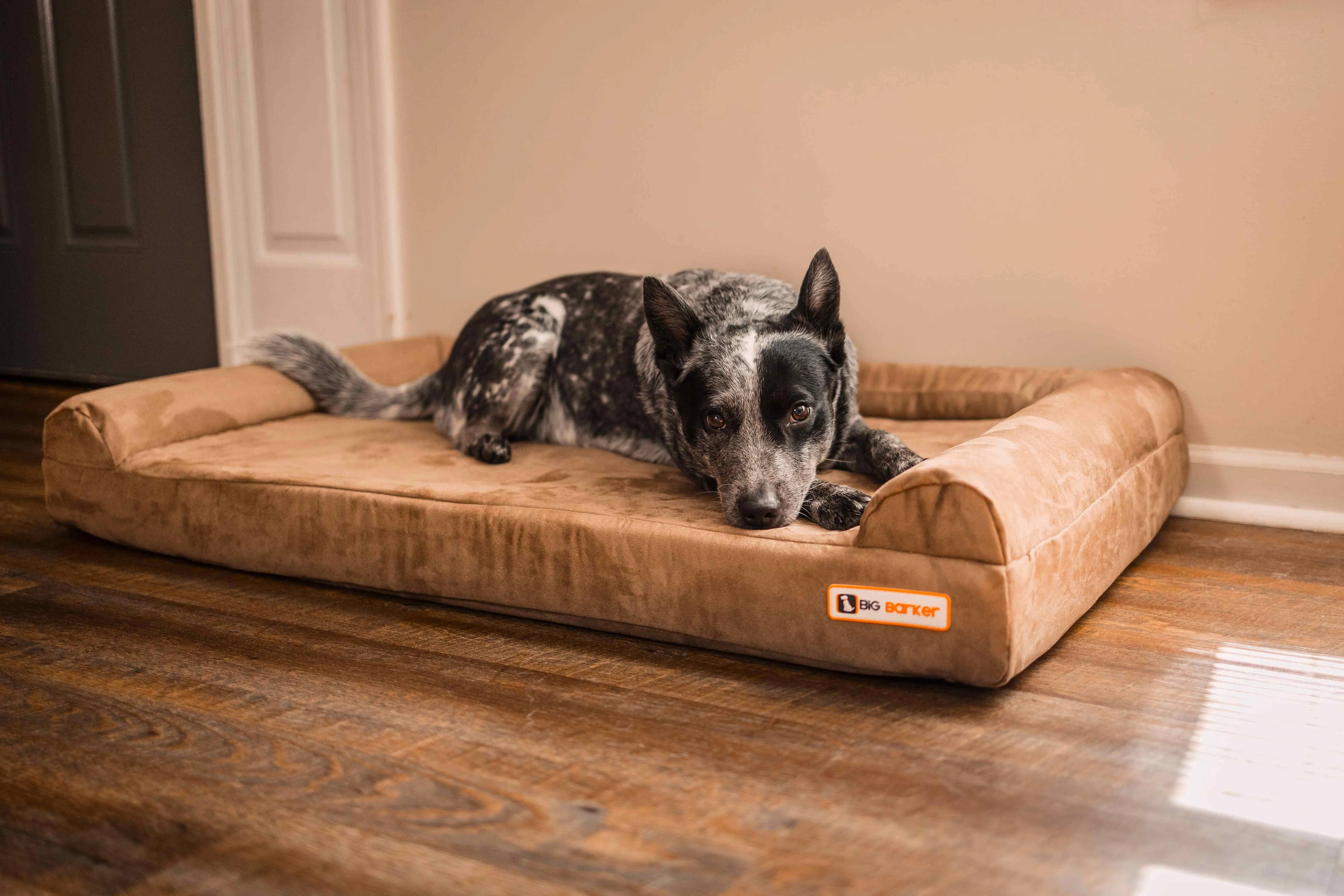 4" Orthopedic Sofa Bed