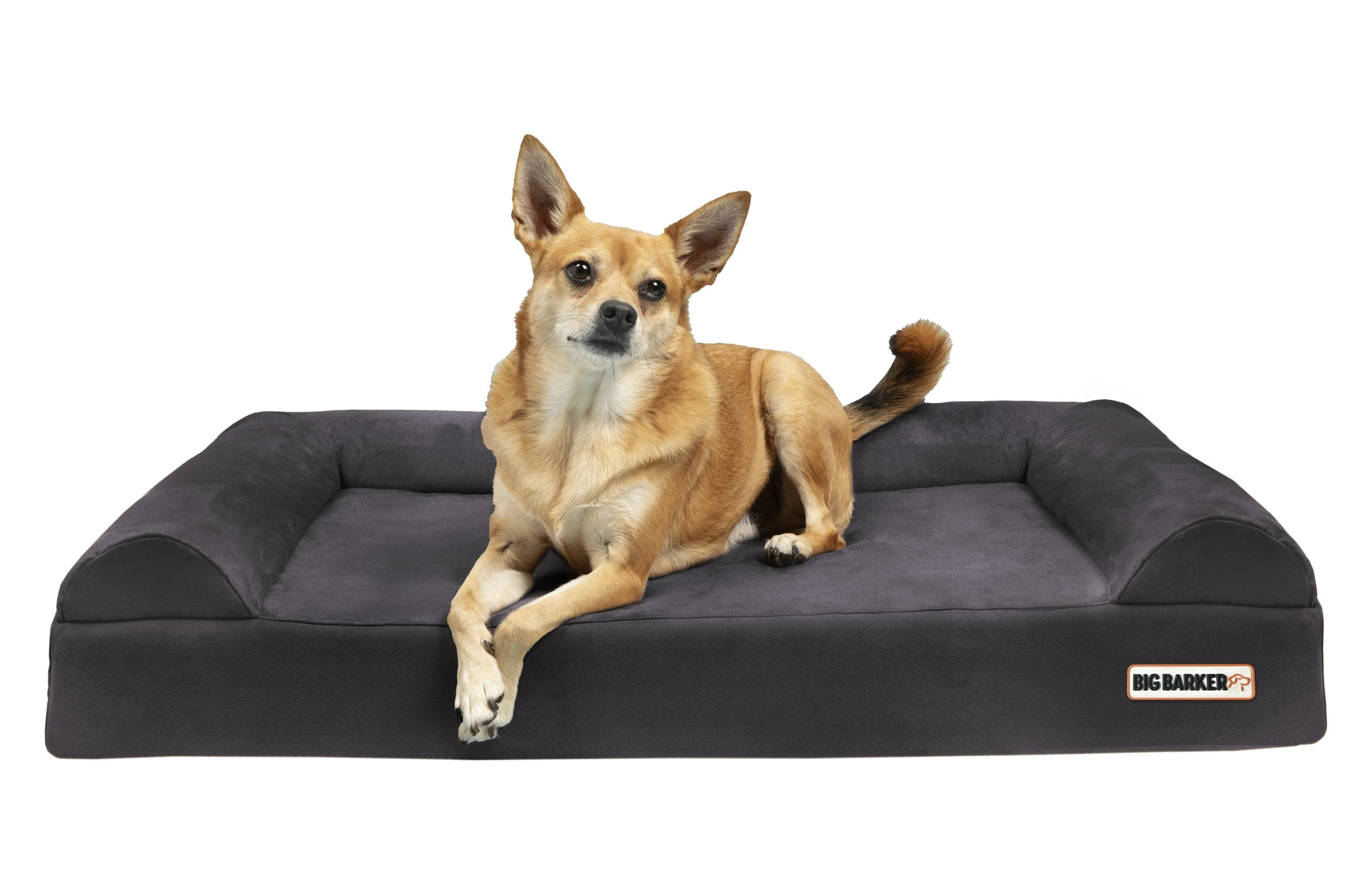 4" Orthopedic Sofa Bed