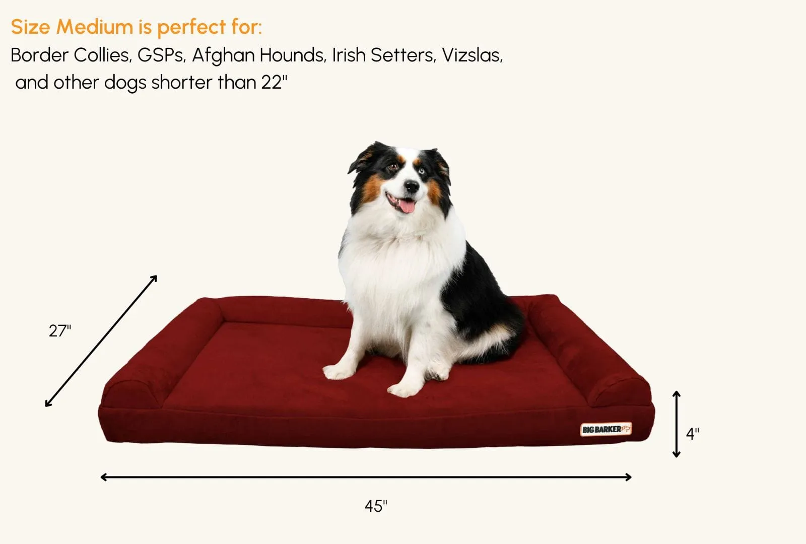 4" Orthopedic Sofa Bed