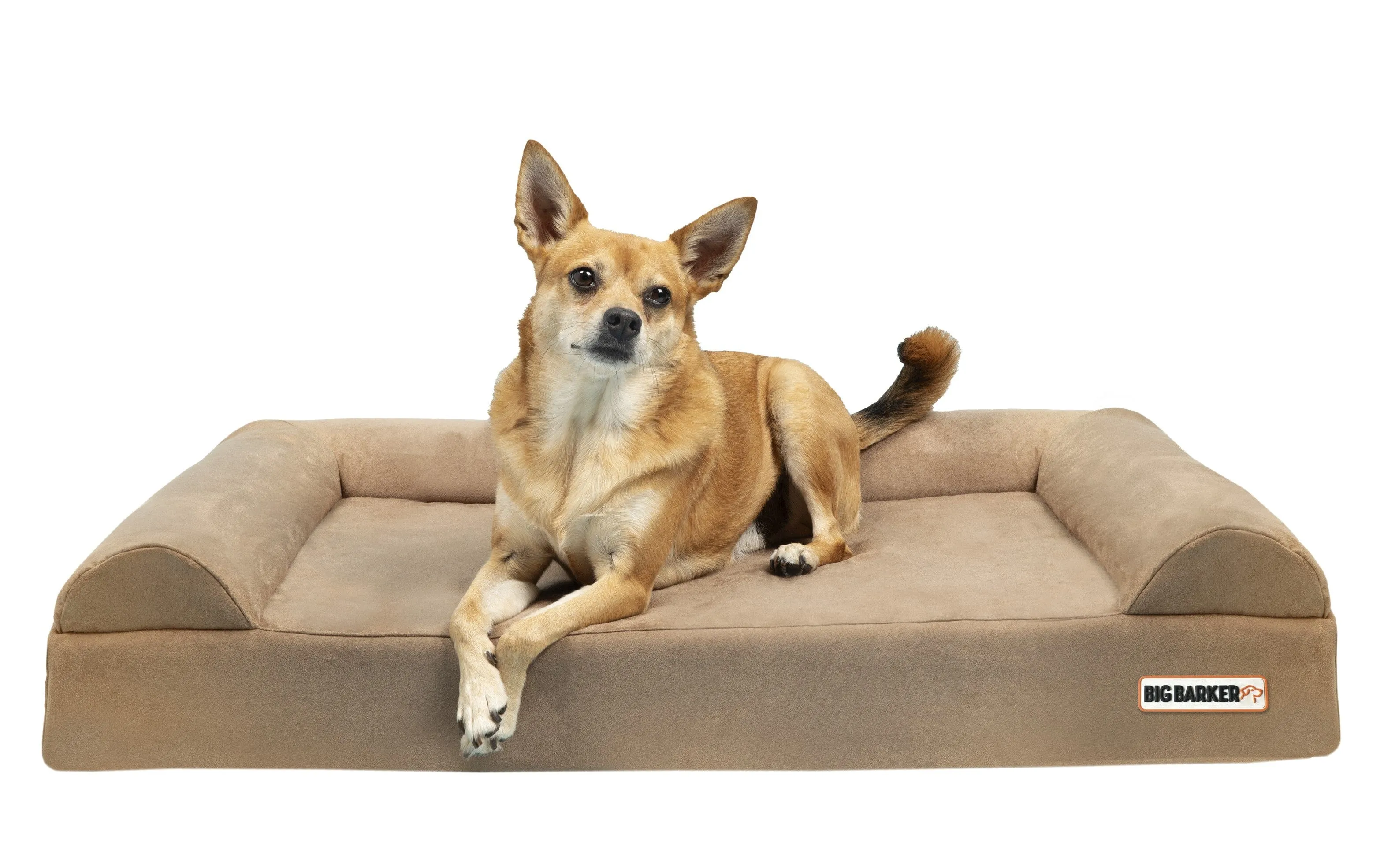 4" Orthopedic Sofa Bed