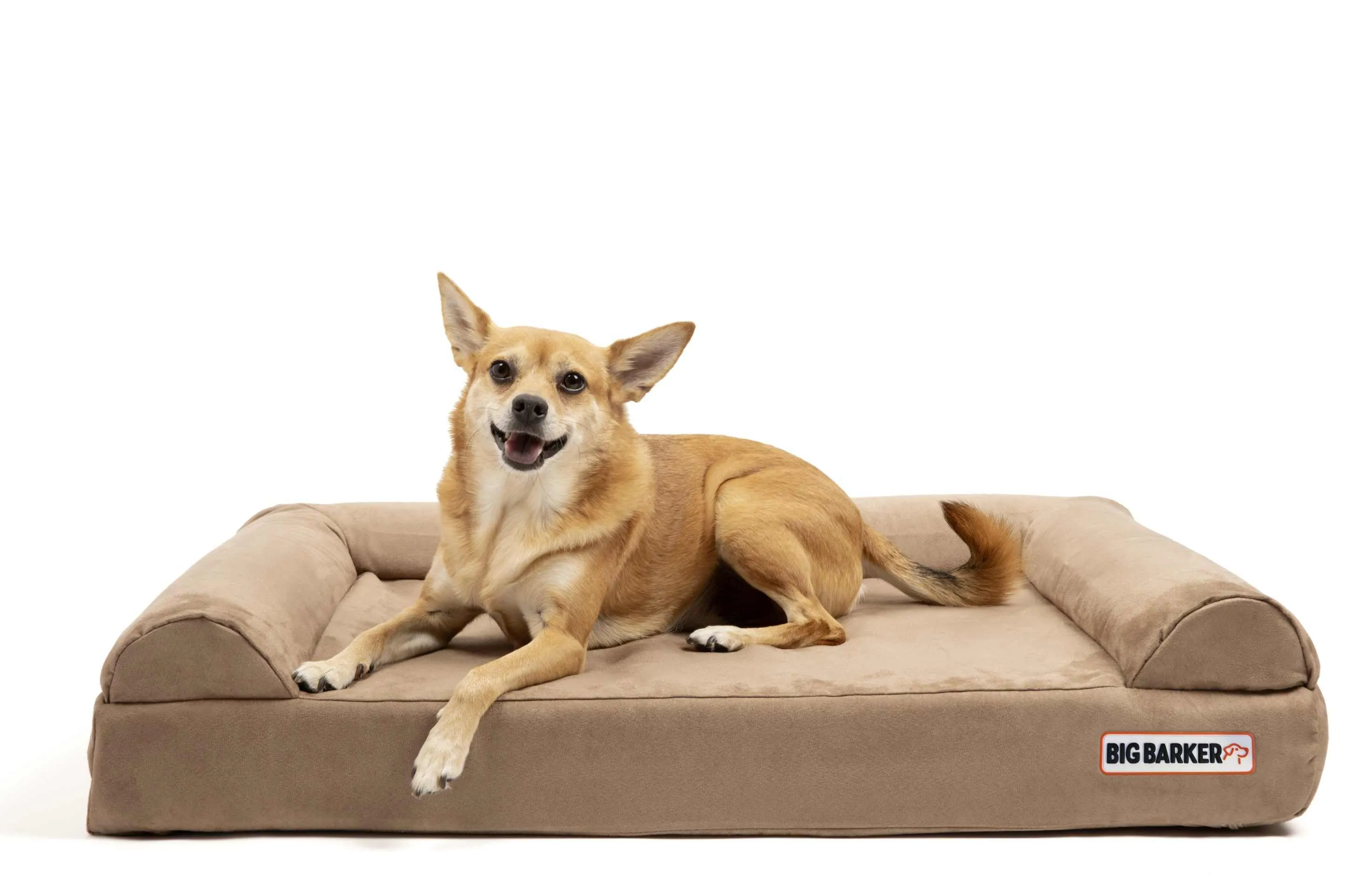 4" Orthopedic Sofa Bed