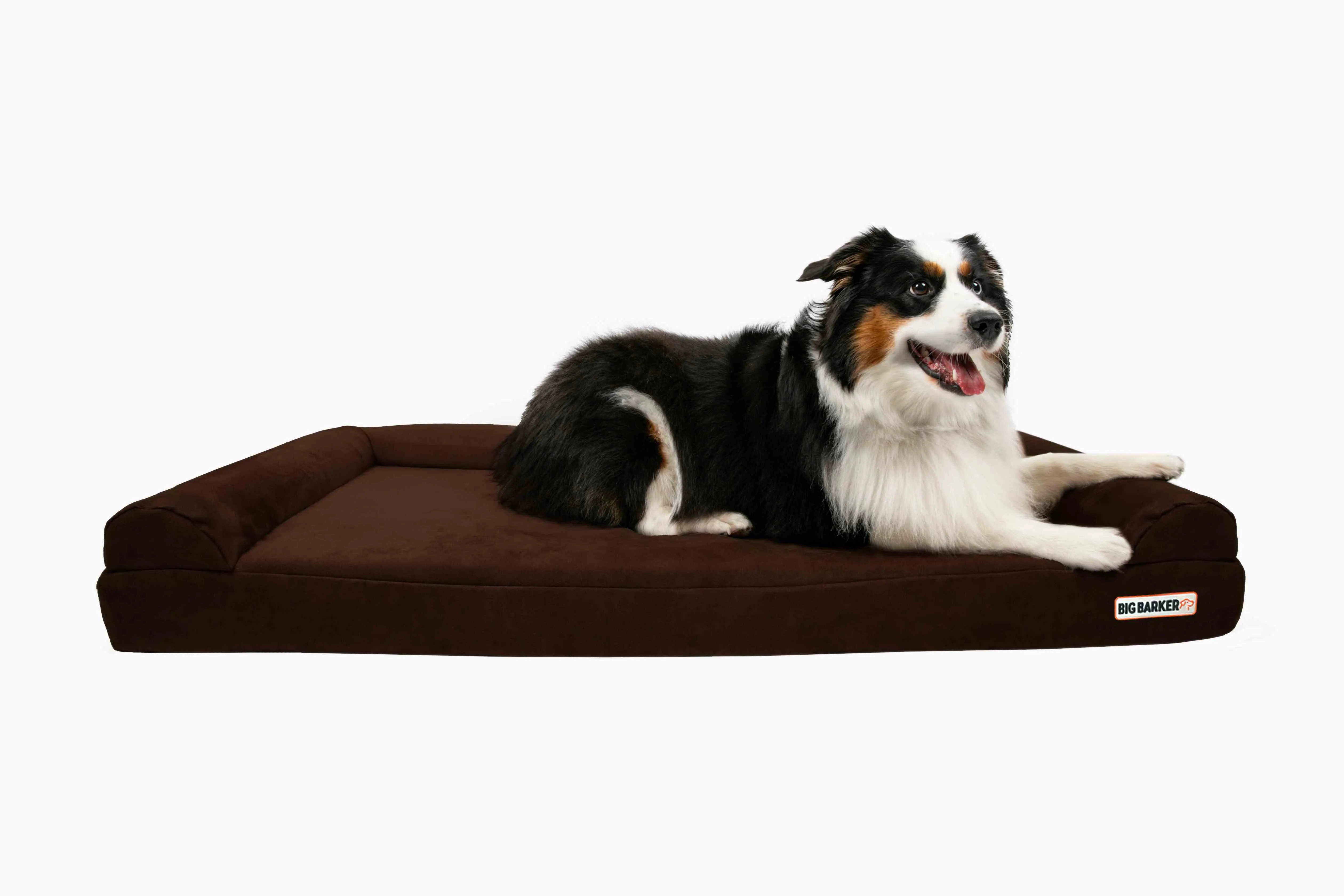 4" Orthopedic Sofa Bed