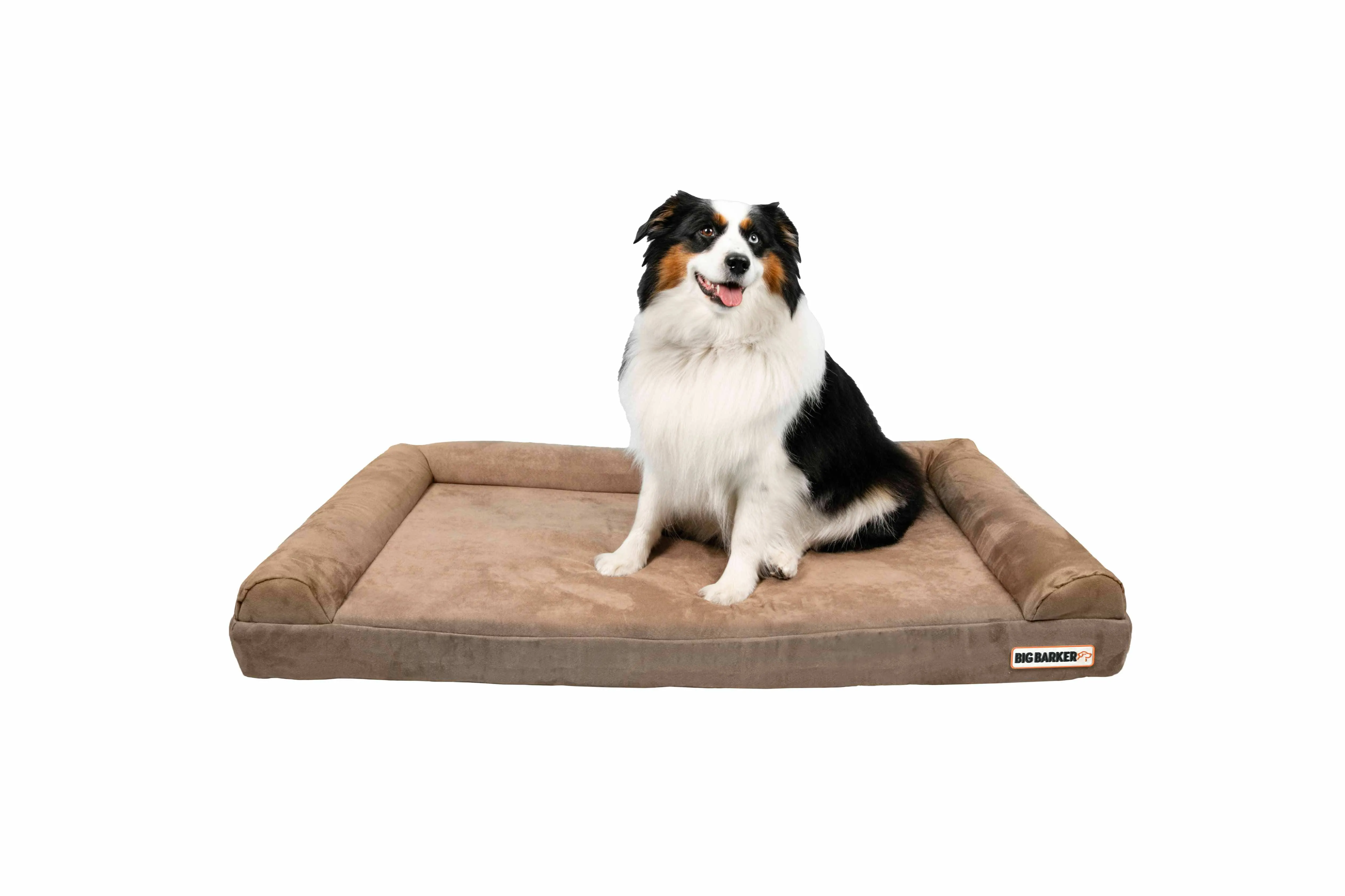 4" Orthopedic Sofa Bed