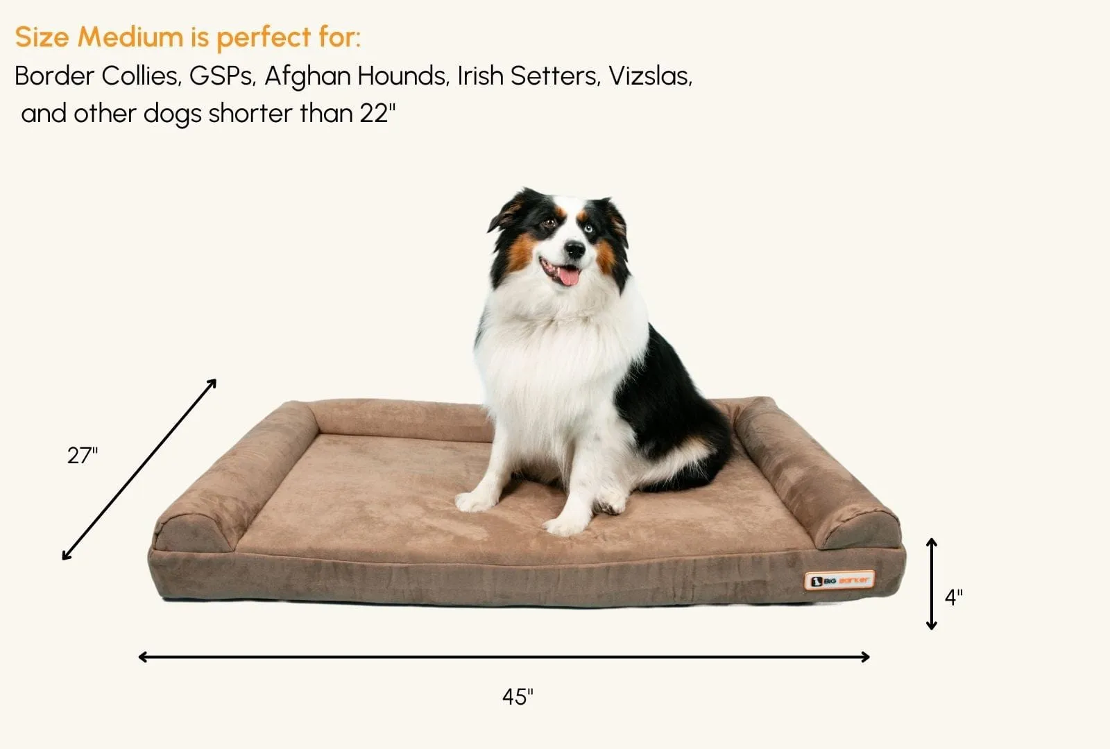 4" Orthopedic Sofa Bed