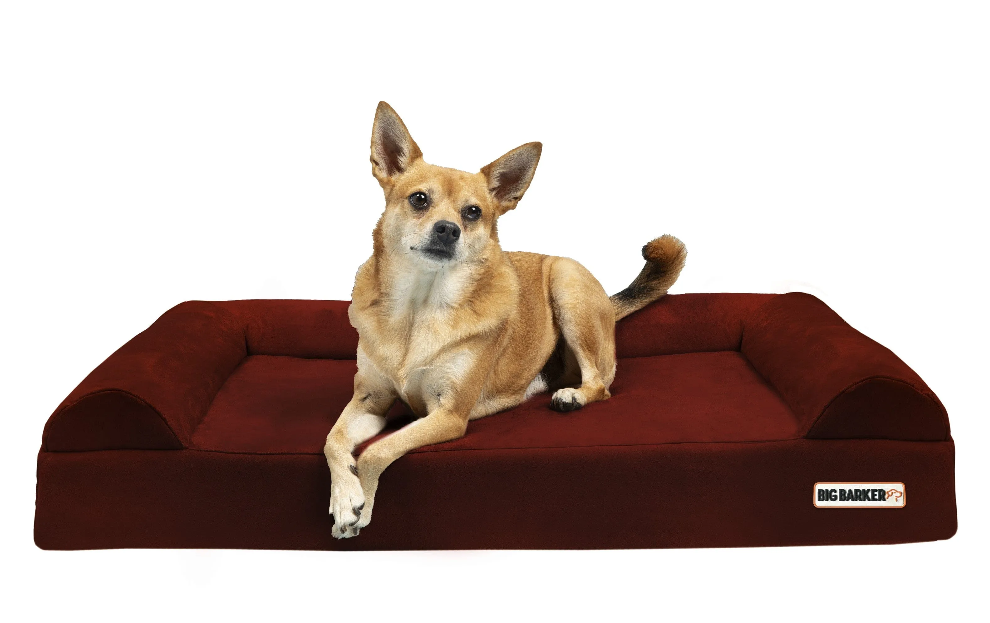 4" Orthopedic Sofa Bed