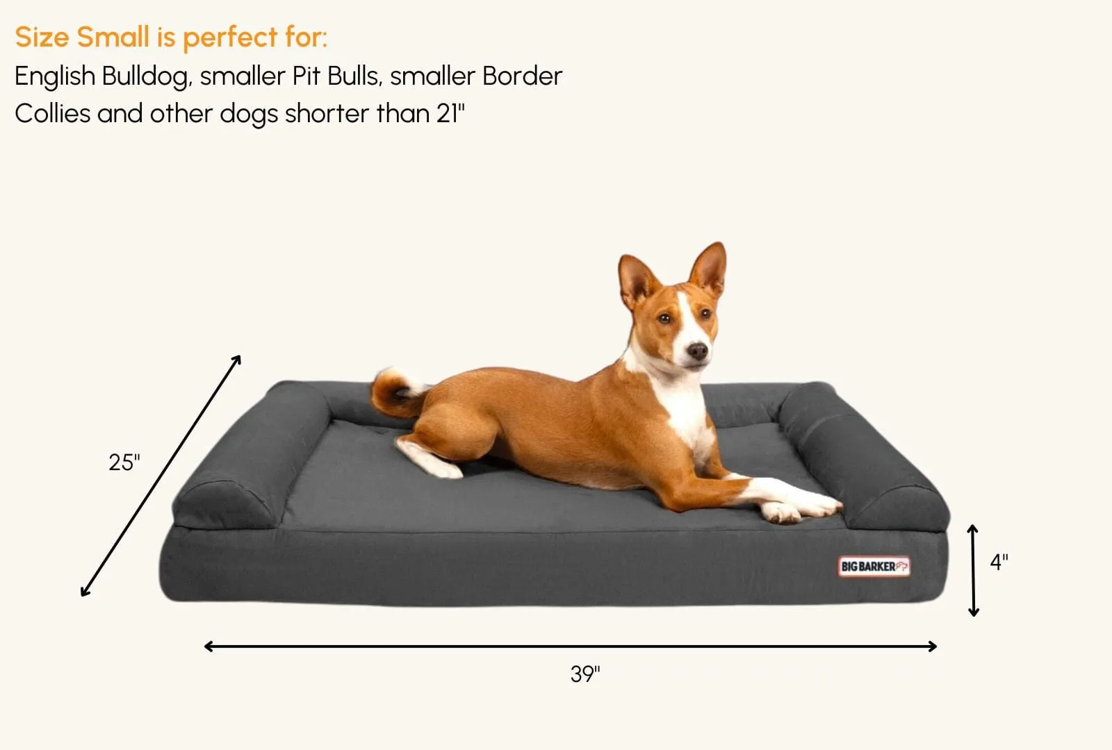 4" Orthopedic Sofa Bed