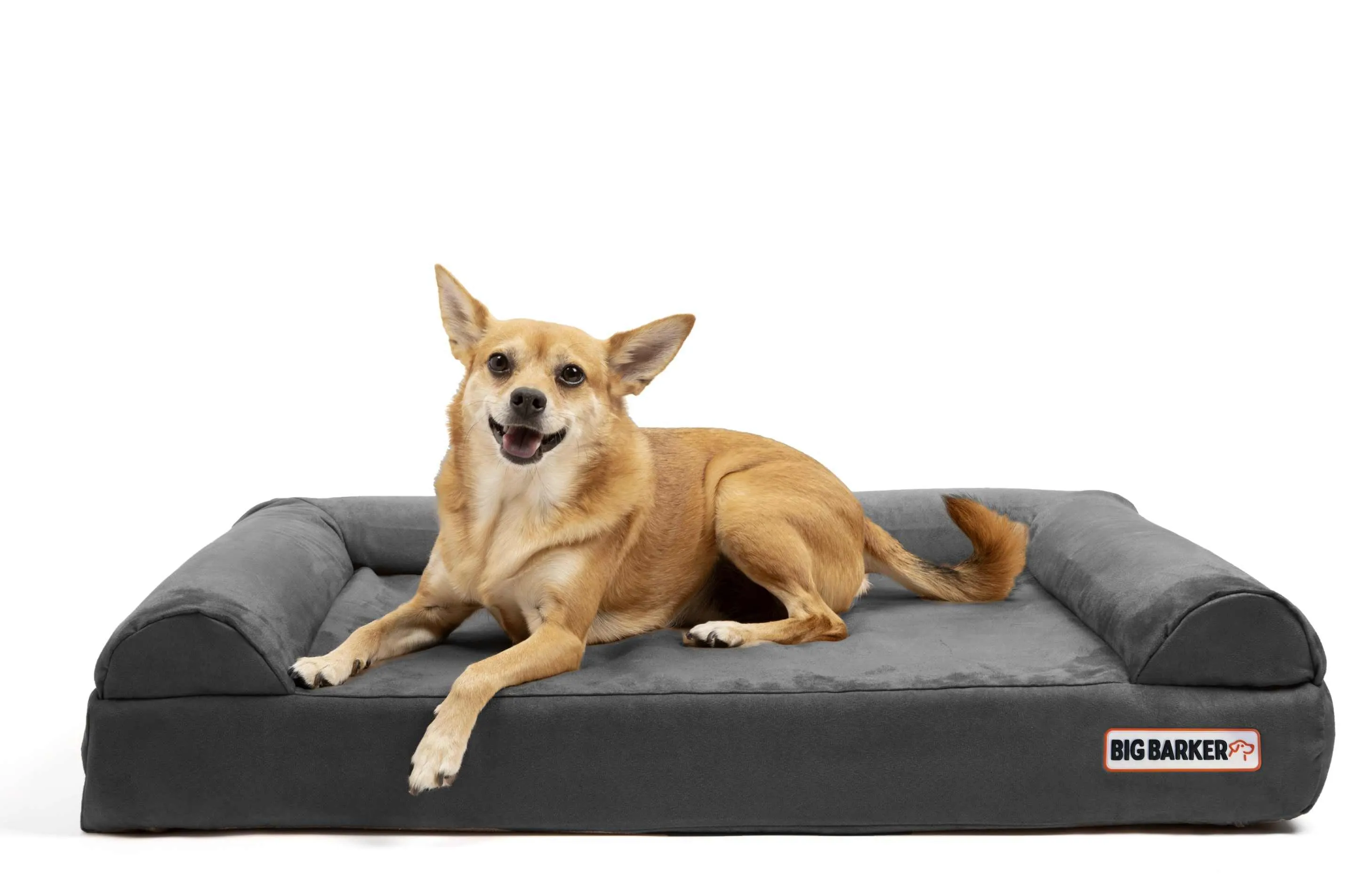 4" Orthopedic Sofa Bed