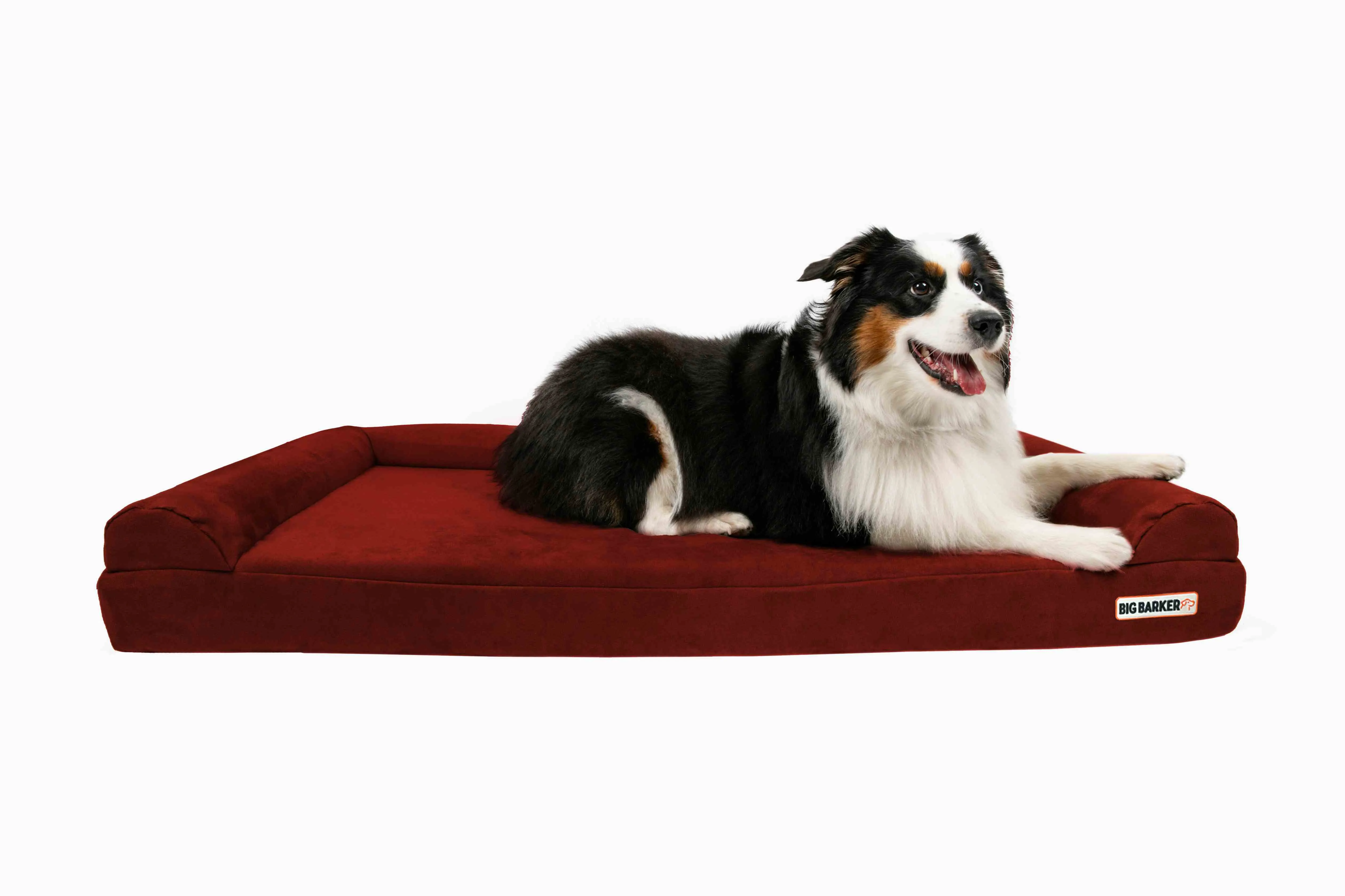 4" Orthopedic Sofa Bed