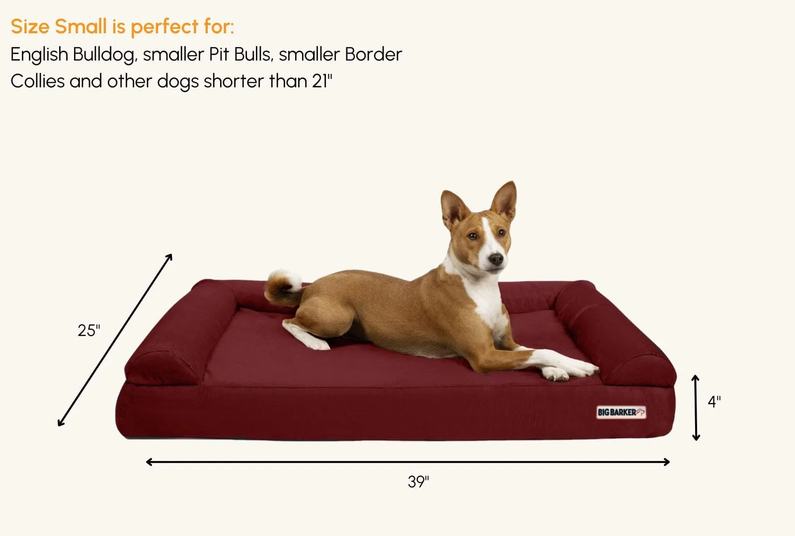 4" Orthopedic Sofa Bed