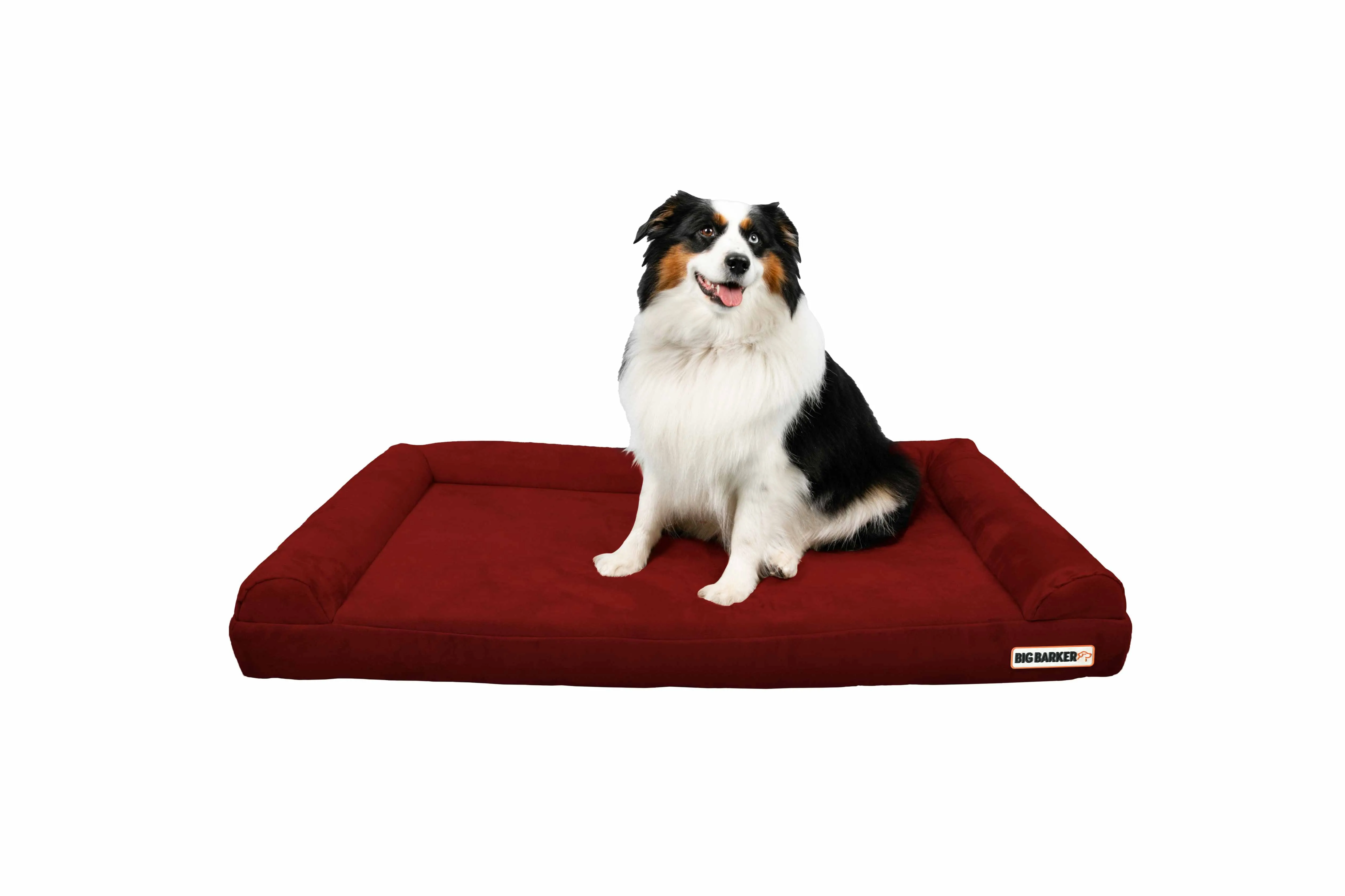 4" Orthopedic Sofa Bed