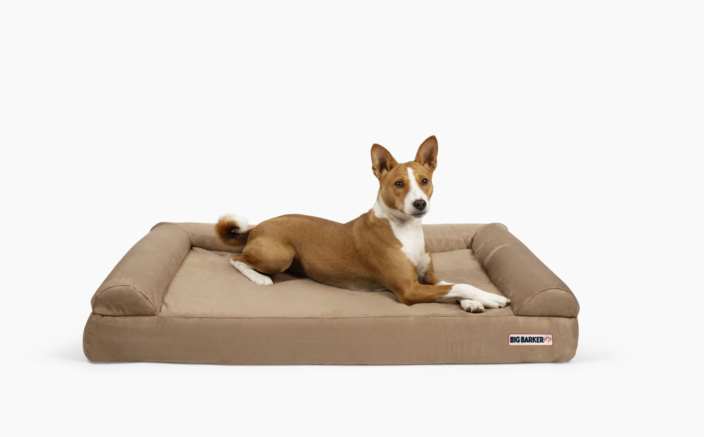 4" Orthopedic Sofa Bed