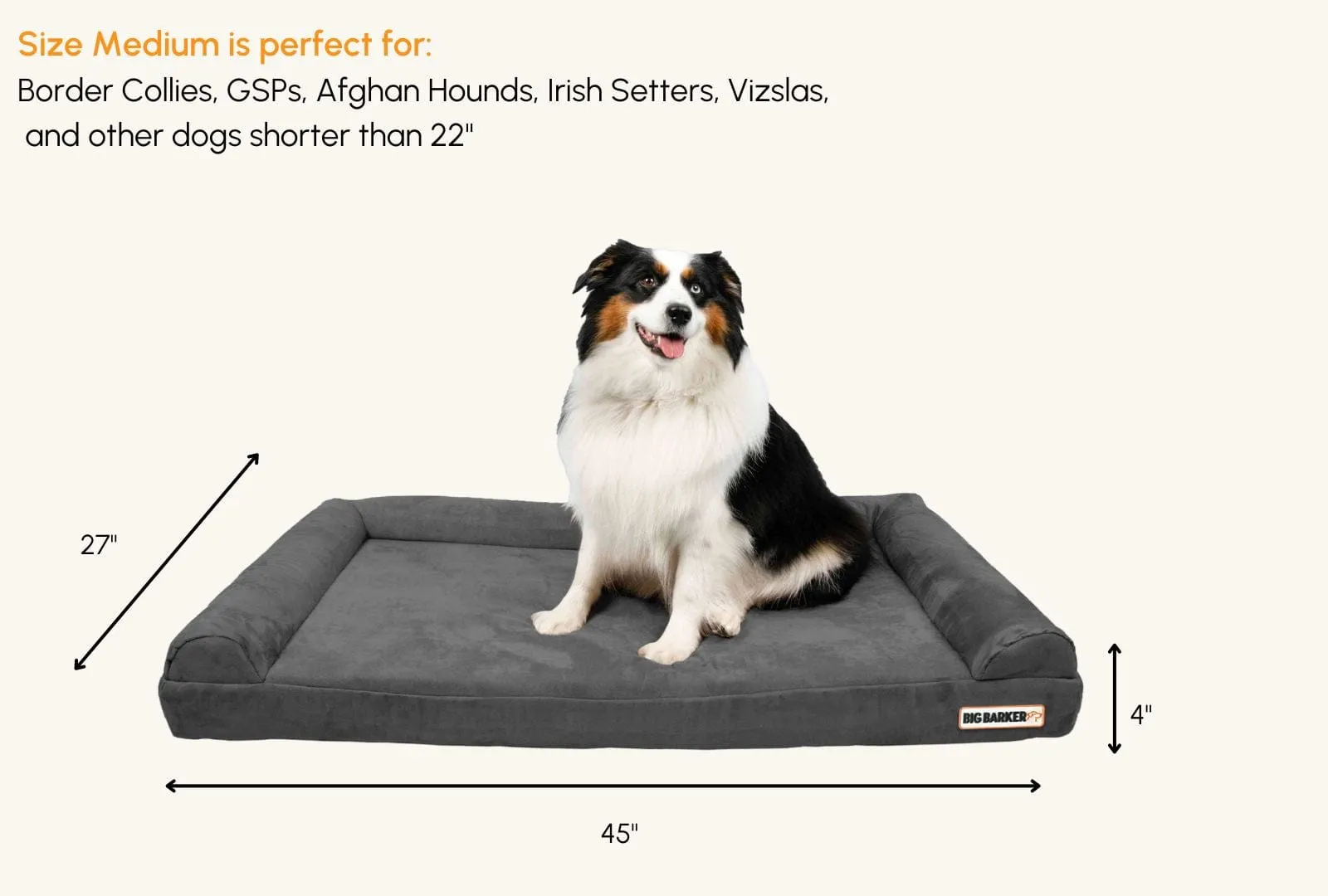 4" Orthopedic Sofa Bed