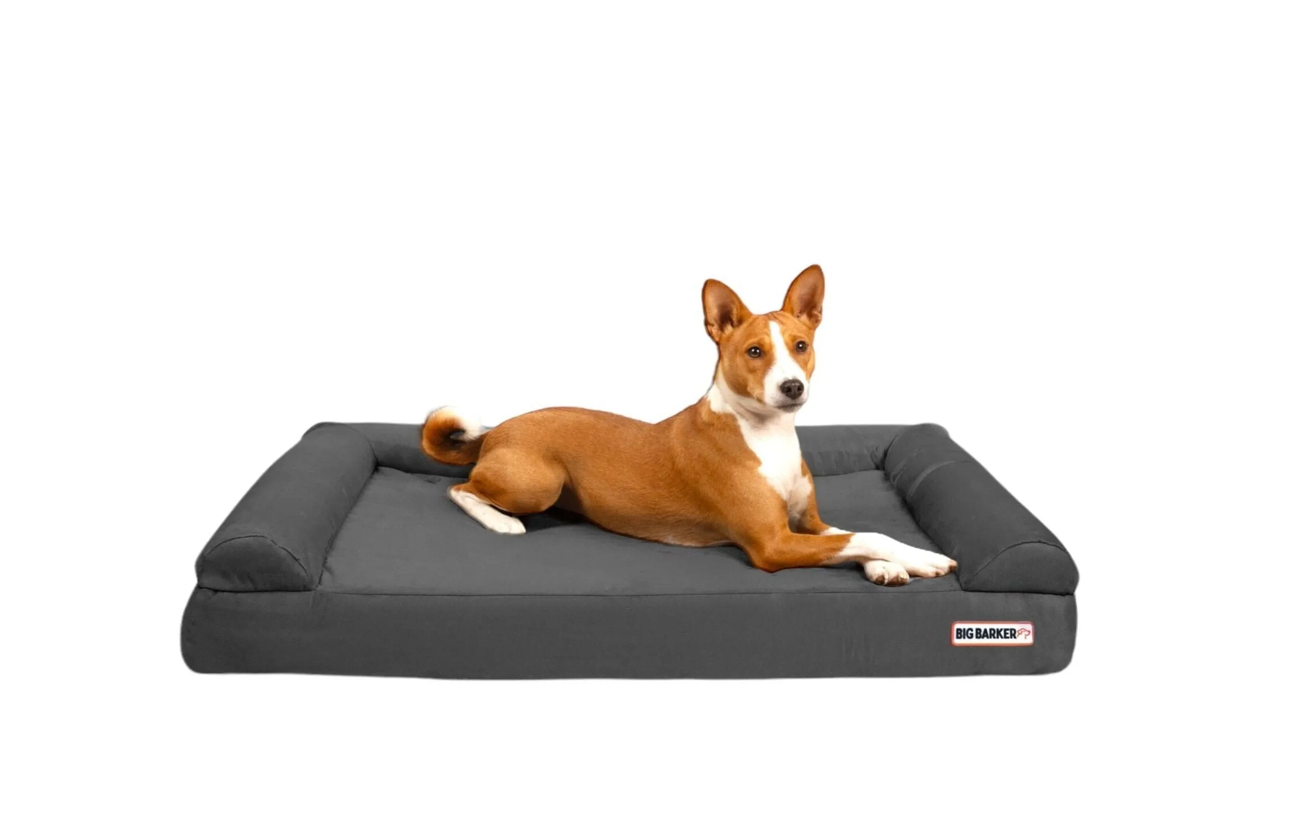 4" Orthopedic Sofa Bed