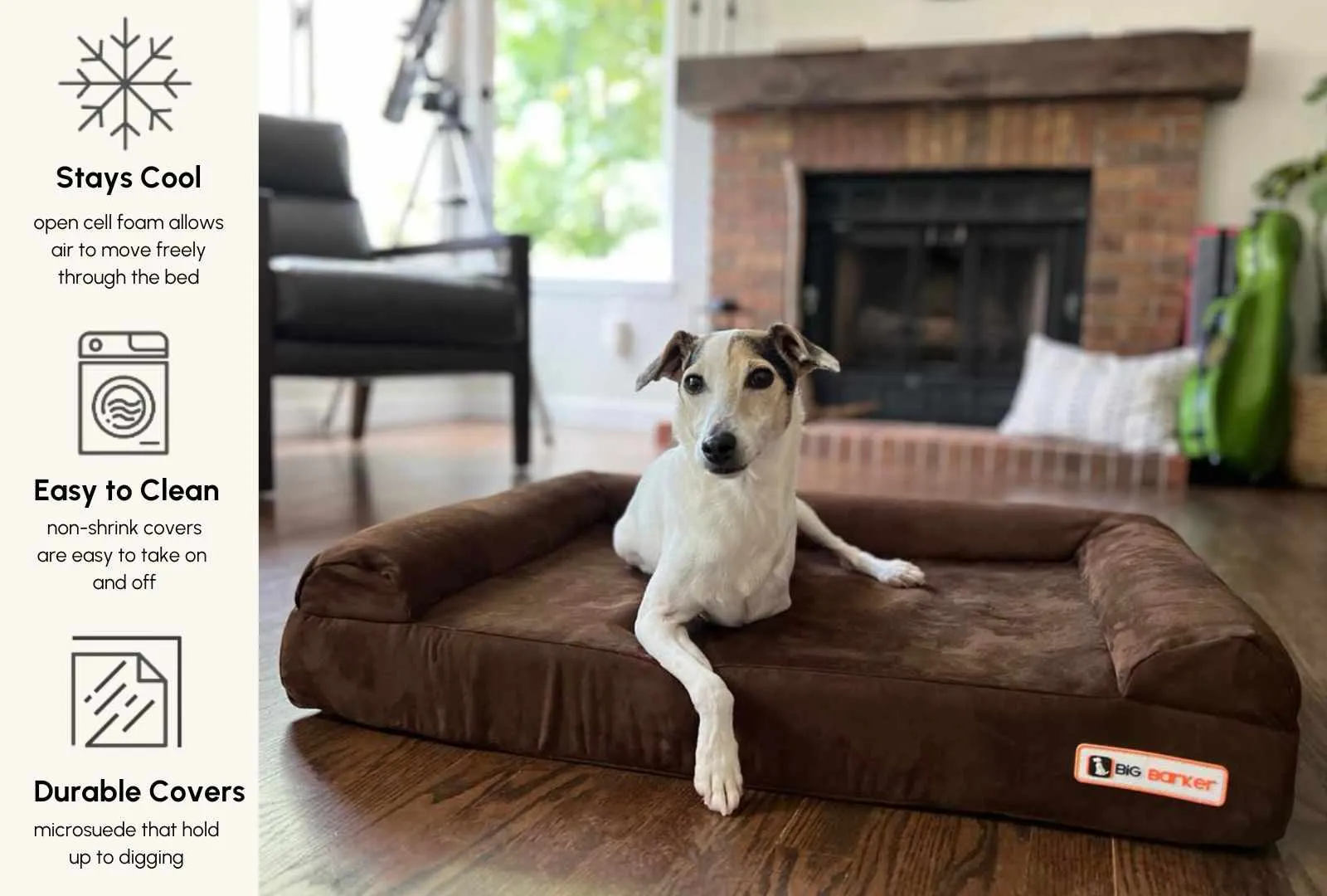 4" Orthopedic Sofa Bed
