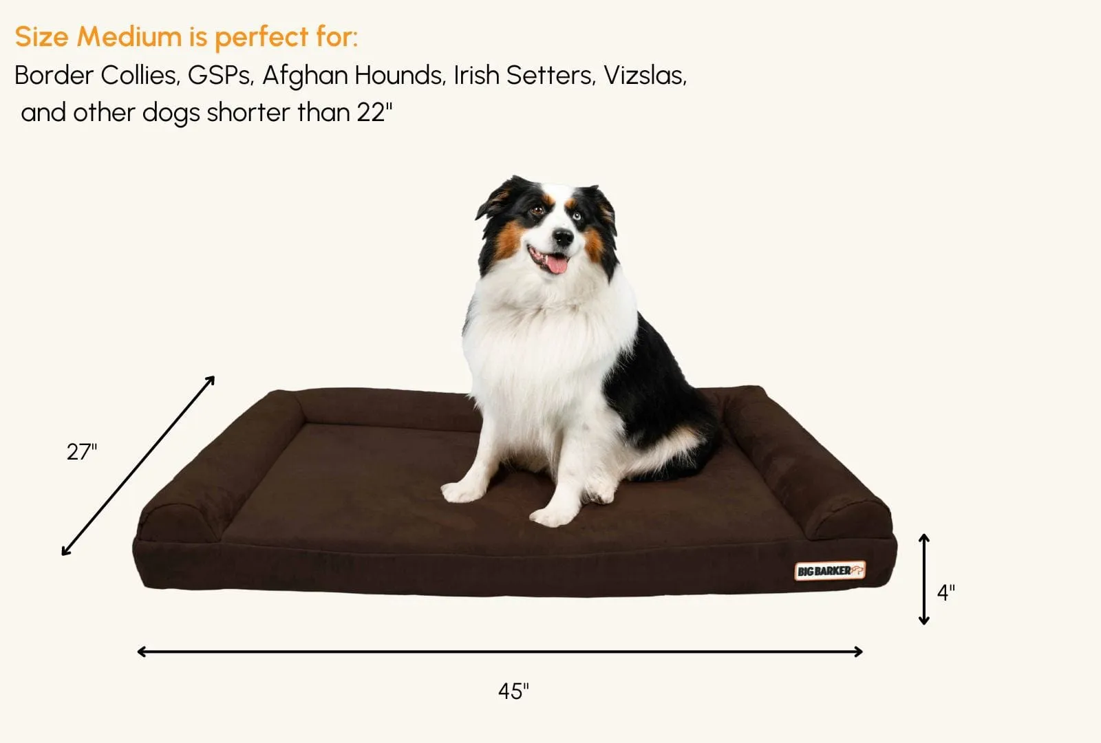 4" Orthopedic Sofa Bed