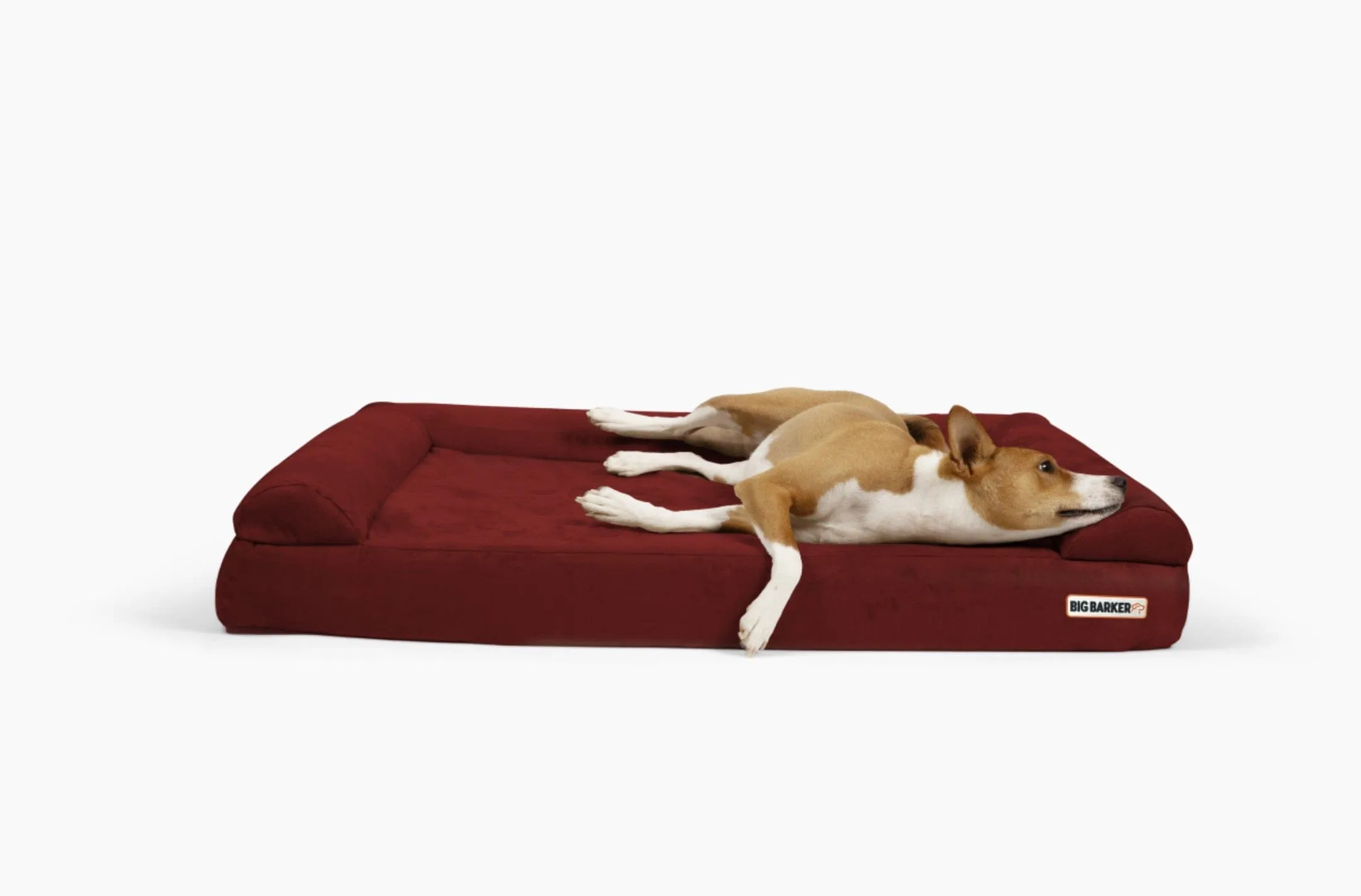 4" Orthopedic Sofa Bed