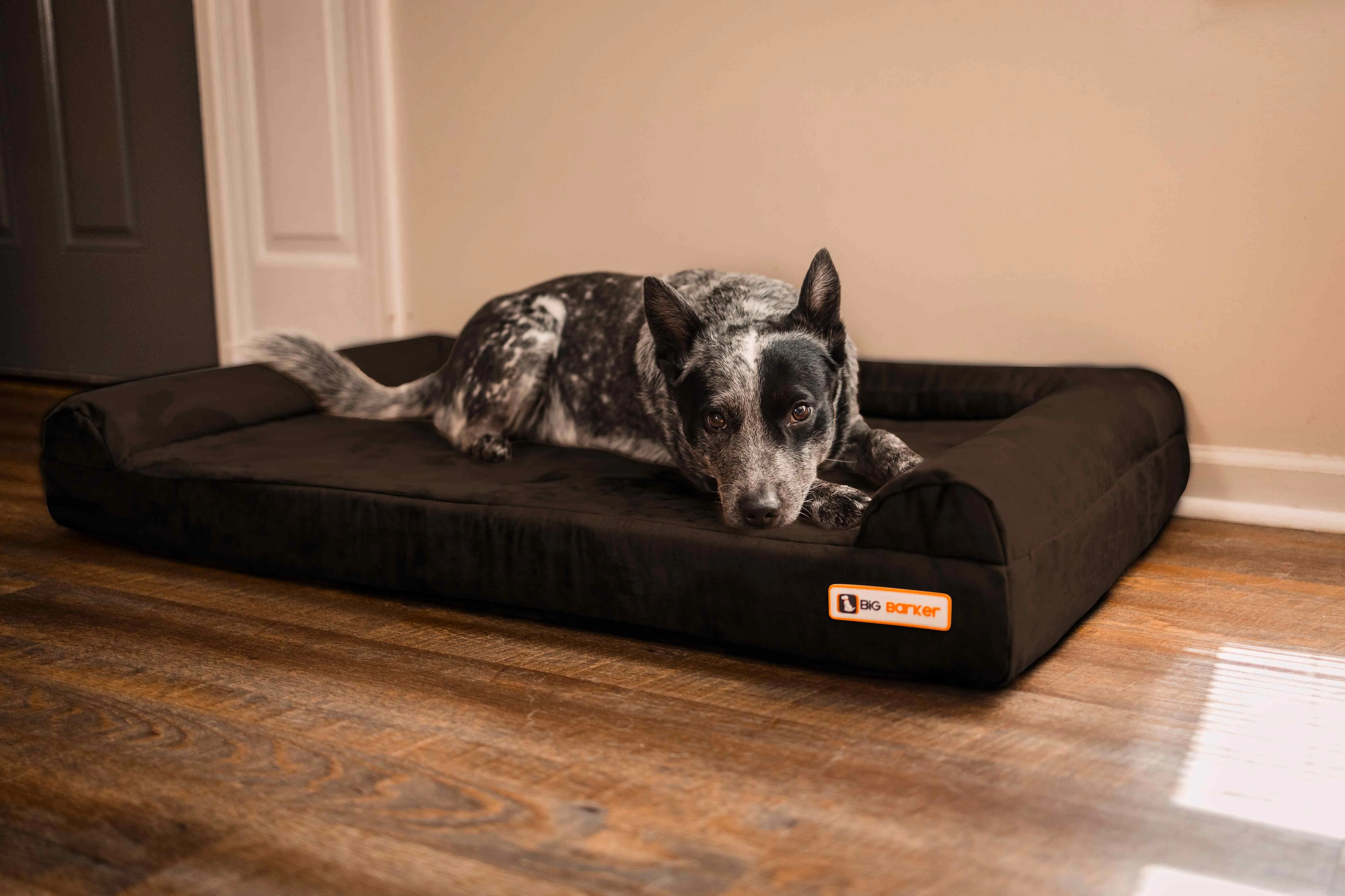 4" Orthopedic Sofa Bed