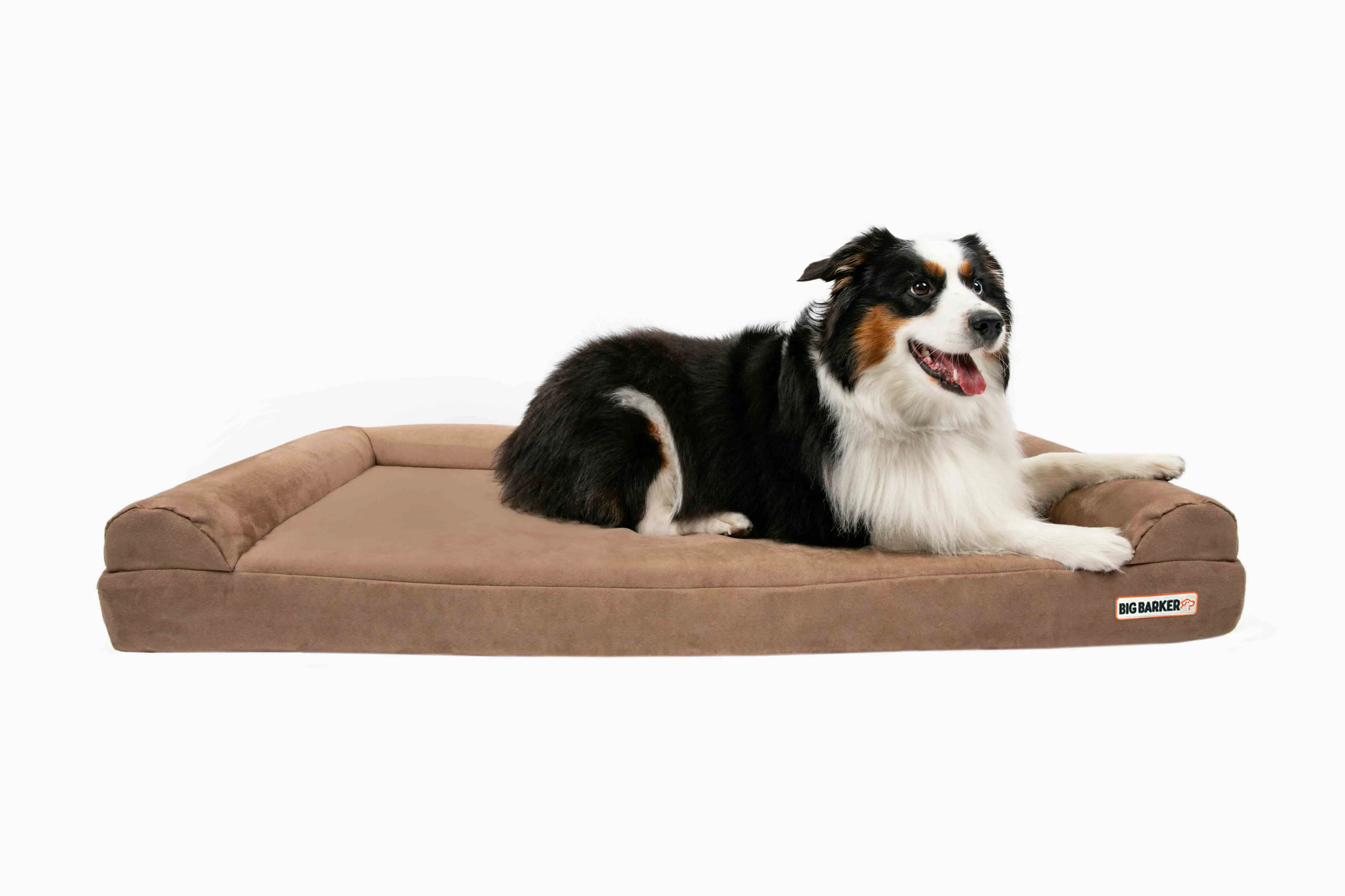 4" Orthopedic Sofa Bed