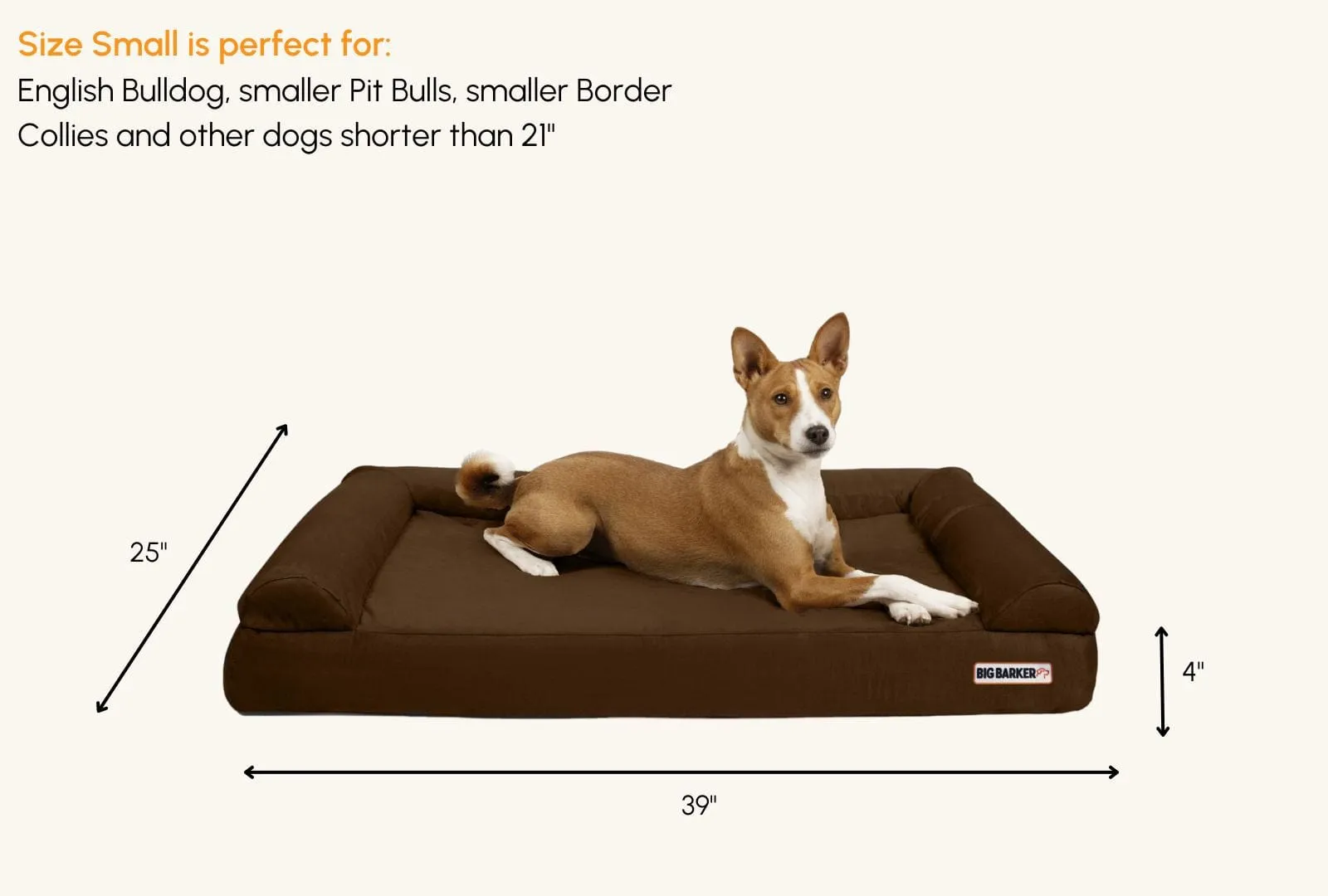 4" Orthopedic Sofa Bed