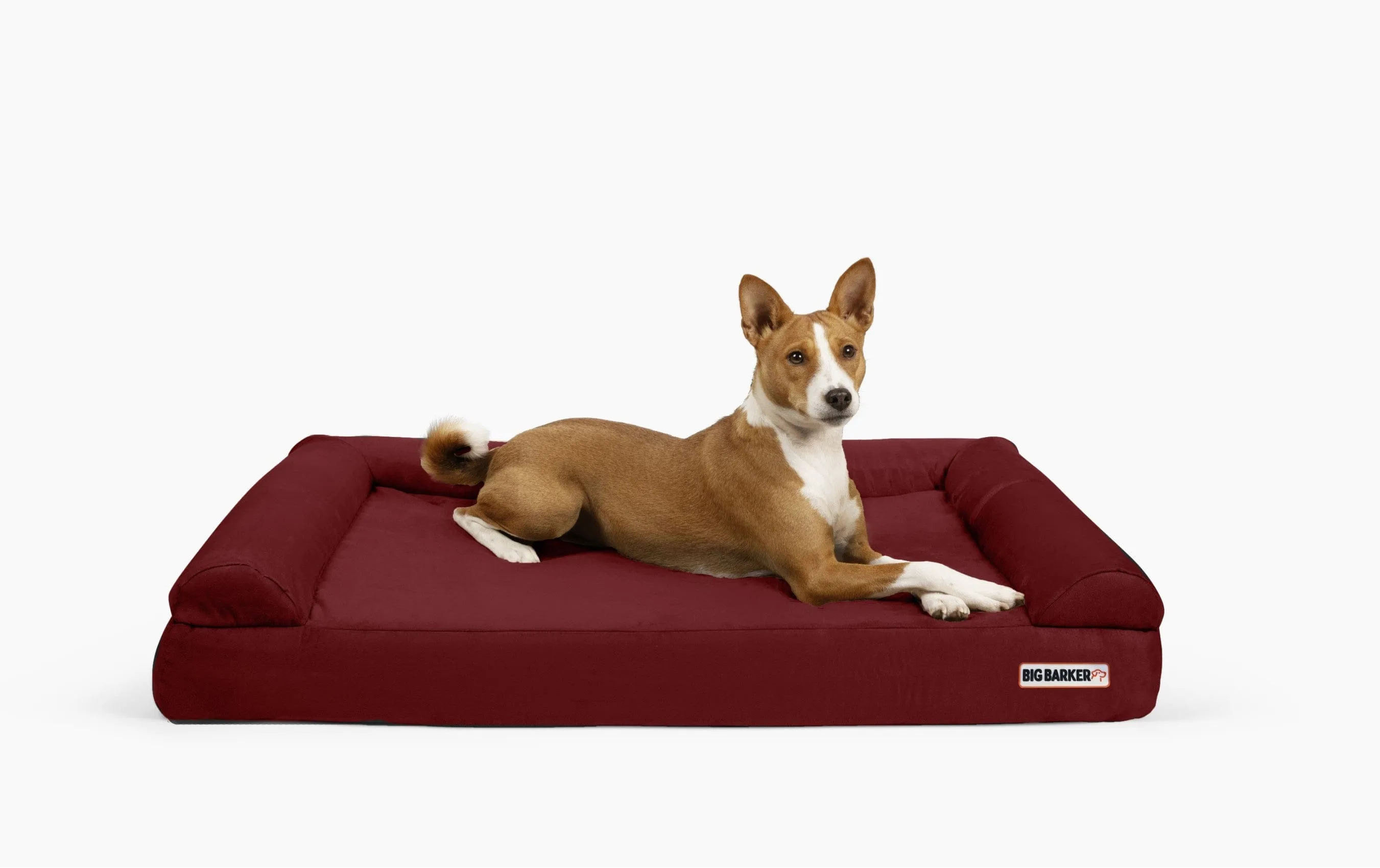 4" Orthopedic Sofa Bed