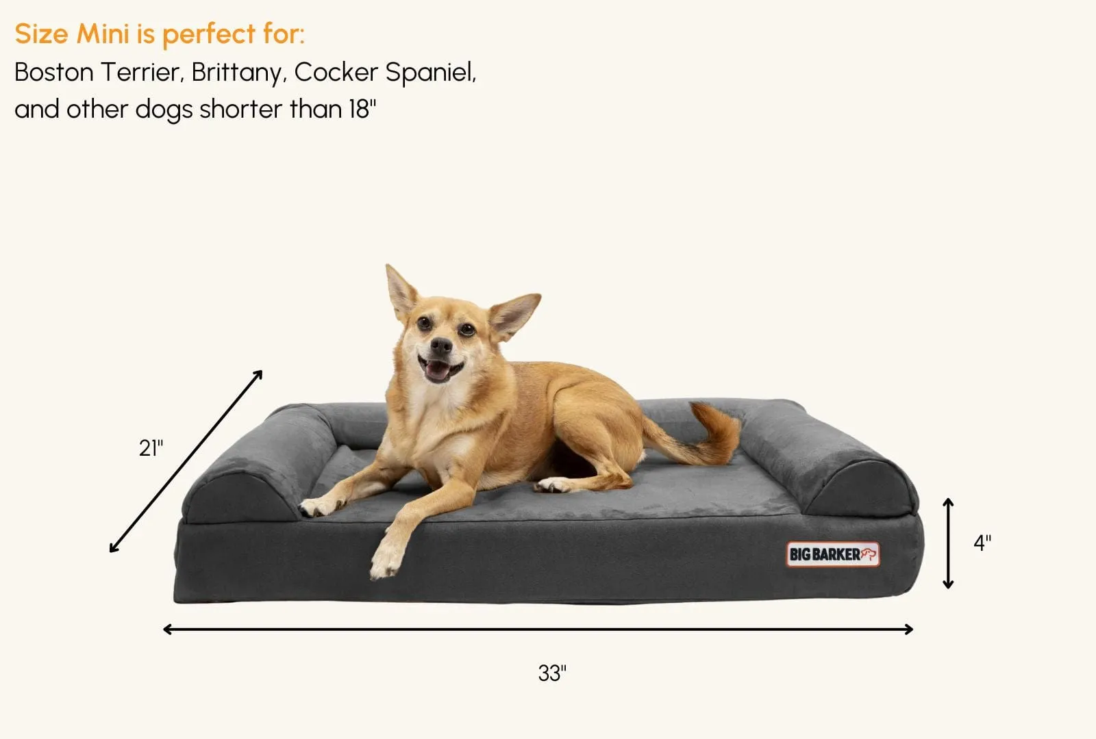 4" Orthopedic Sofa Bed