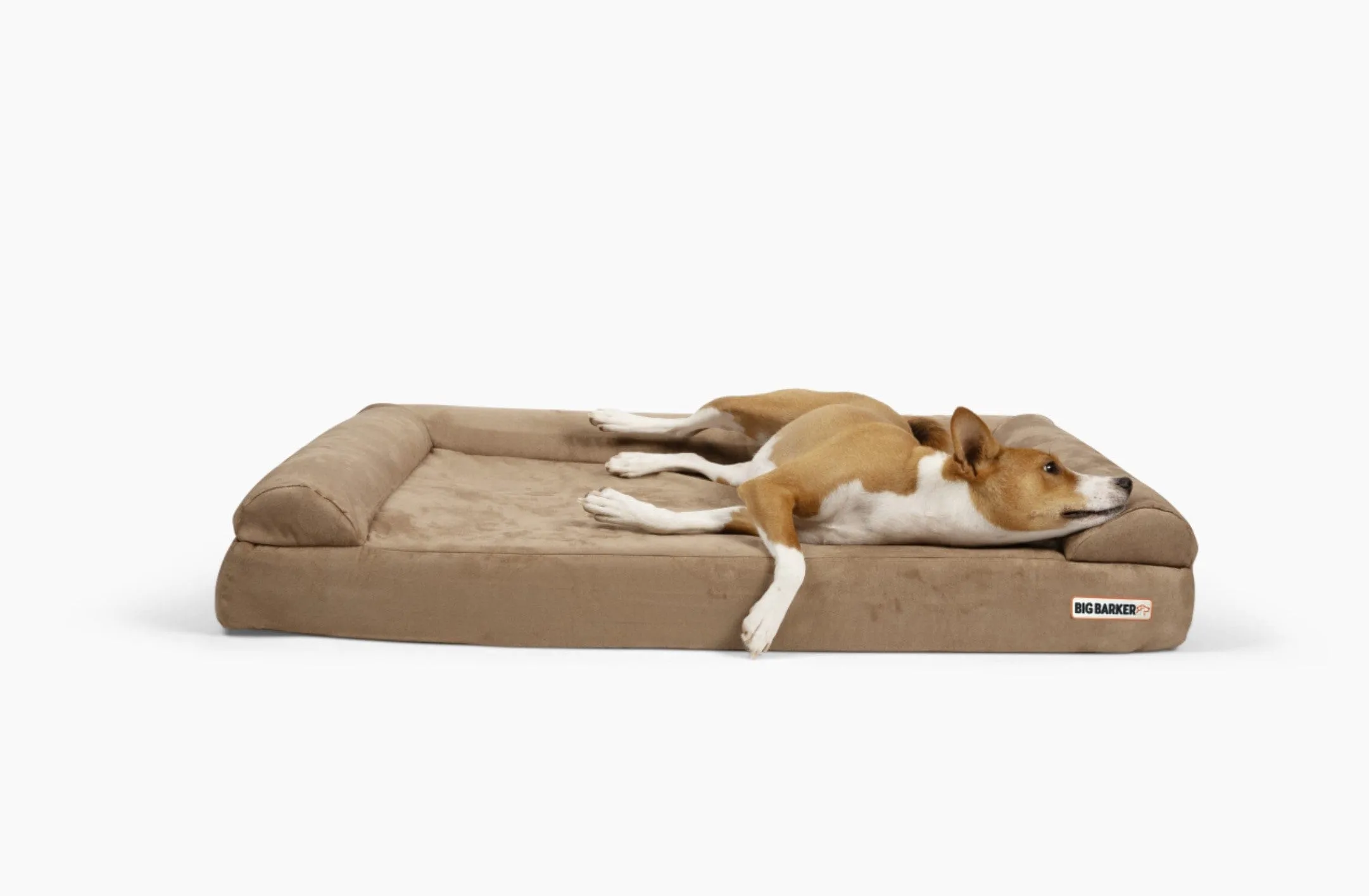 4" Orthopedic Sofa Bed
