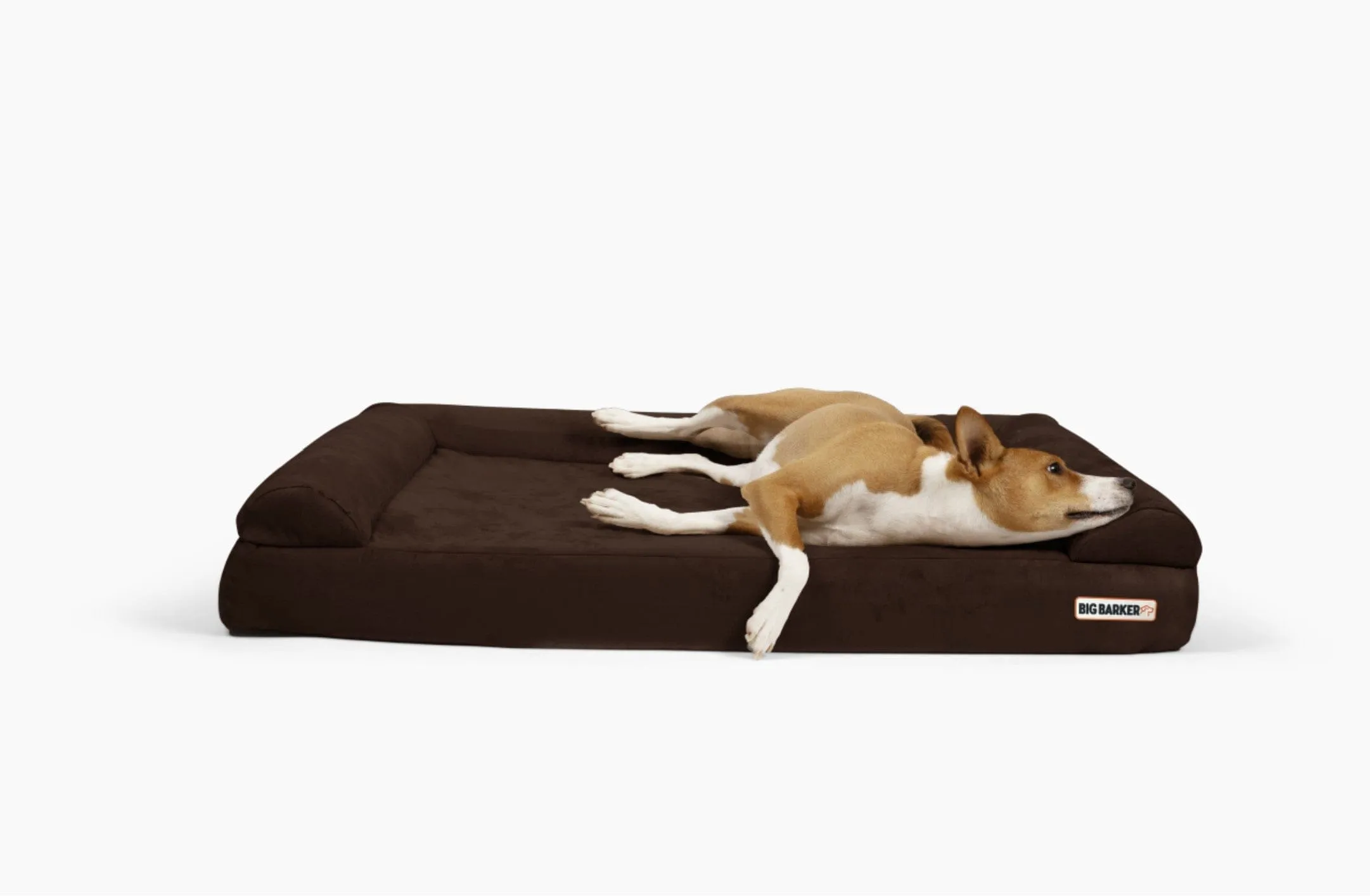 4" Orthopedic Sofa Bed