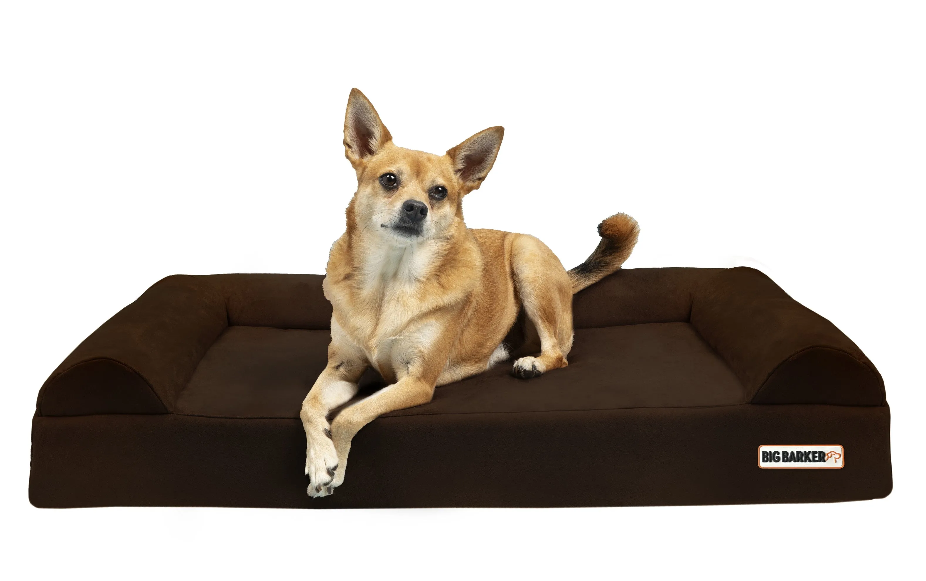 4" Orthopedic Sofa Bed
