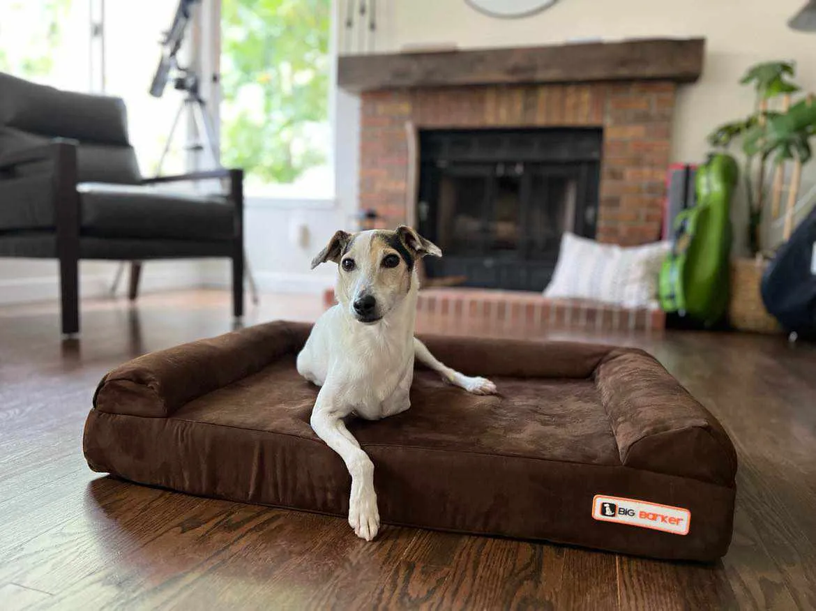 4" Orthopedic Sofa Bed