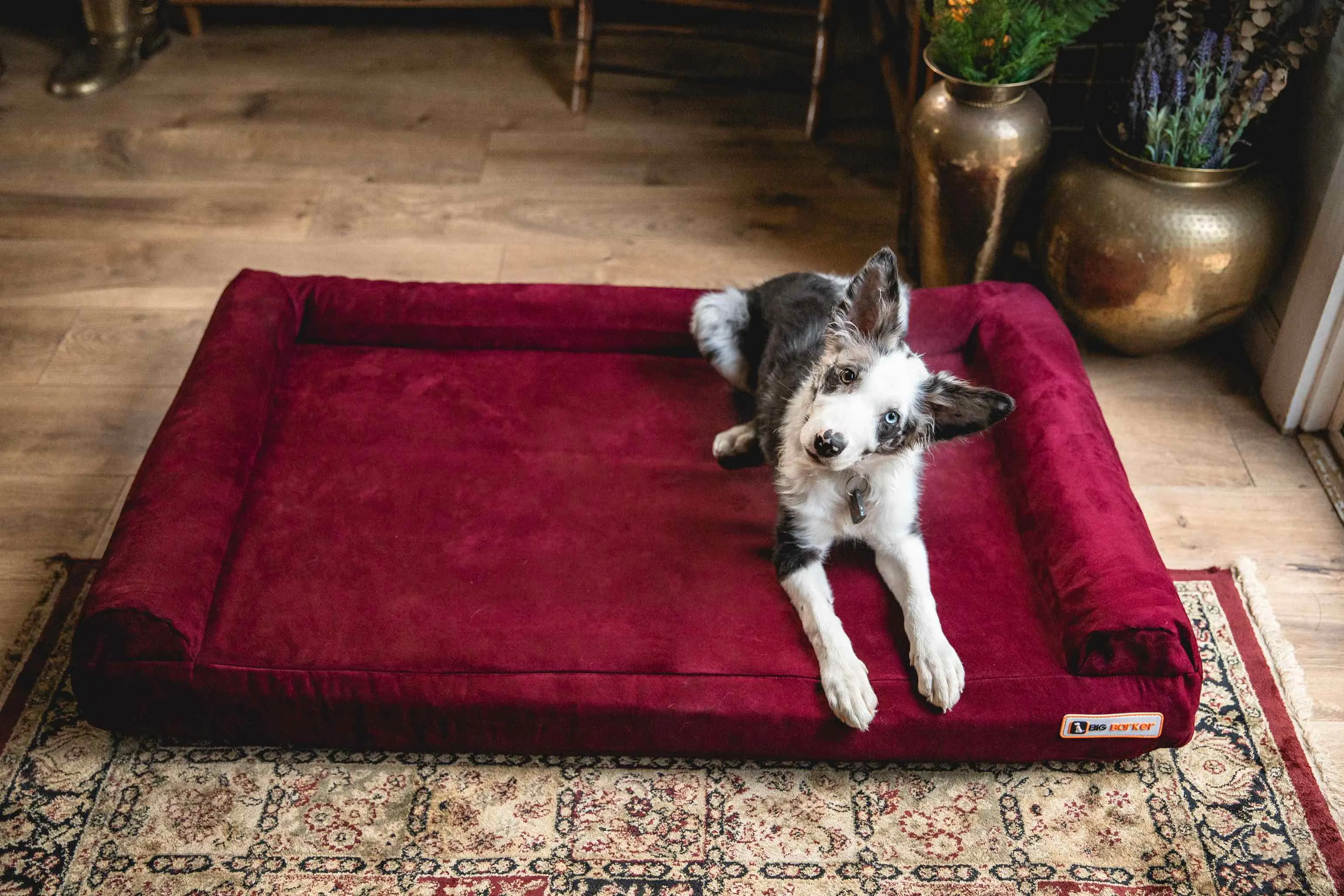 4" Orthopedic Sofa Bed