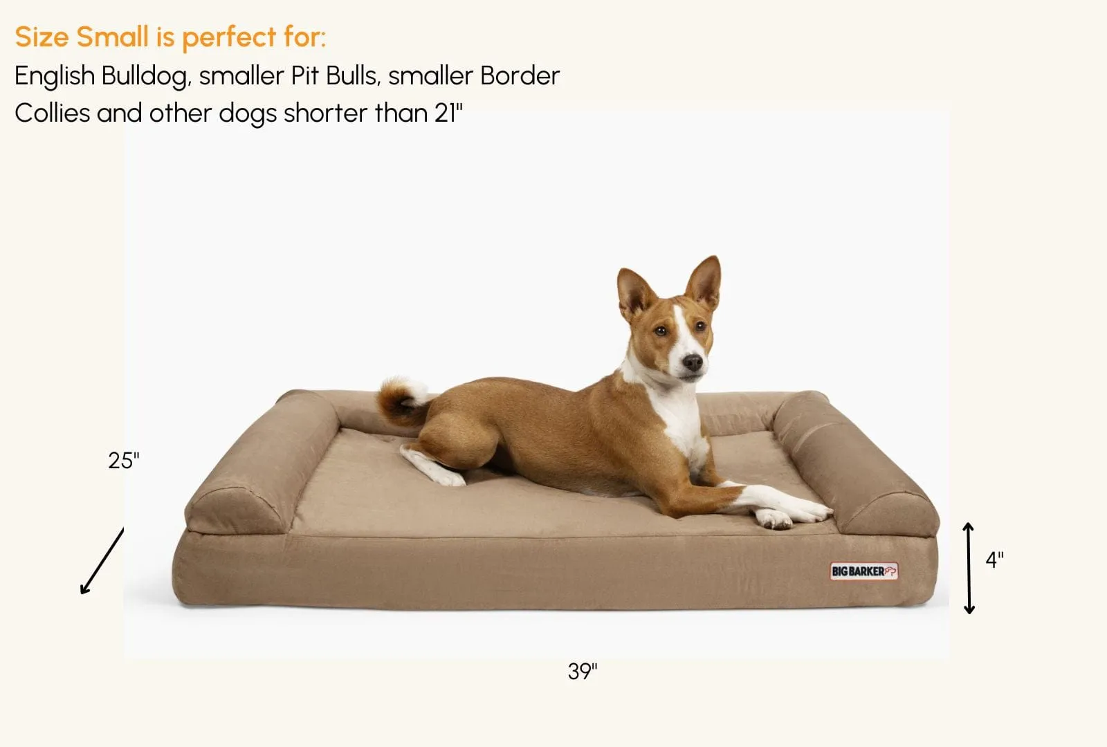 4" Orthopedic Sofa Bed