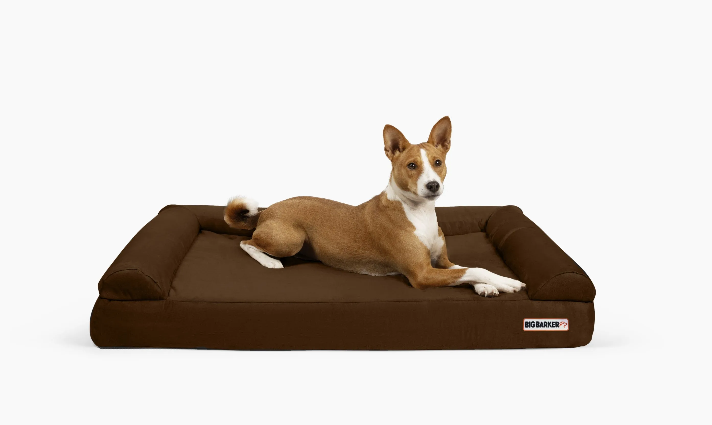 4" Orthopedic Sofa Bed