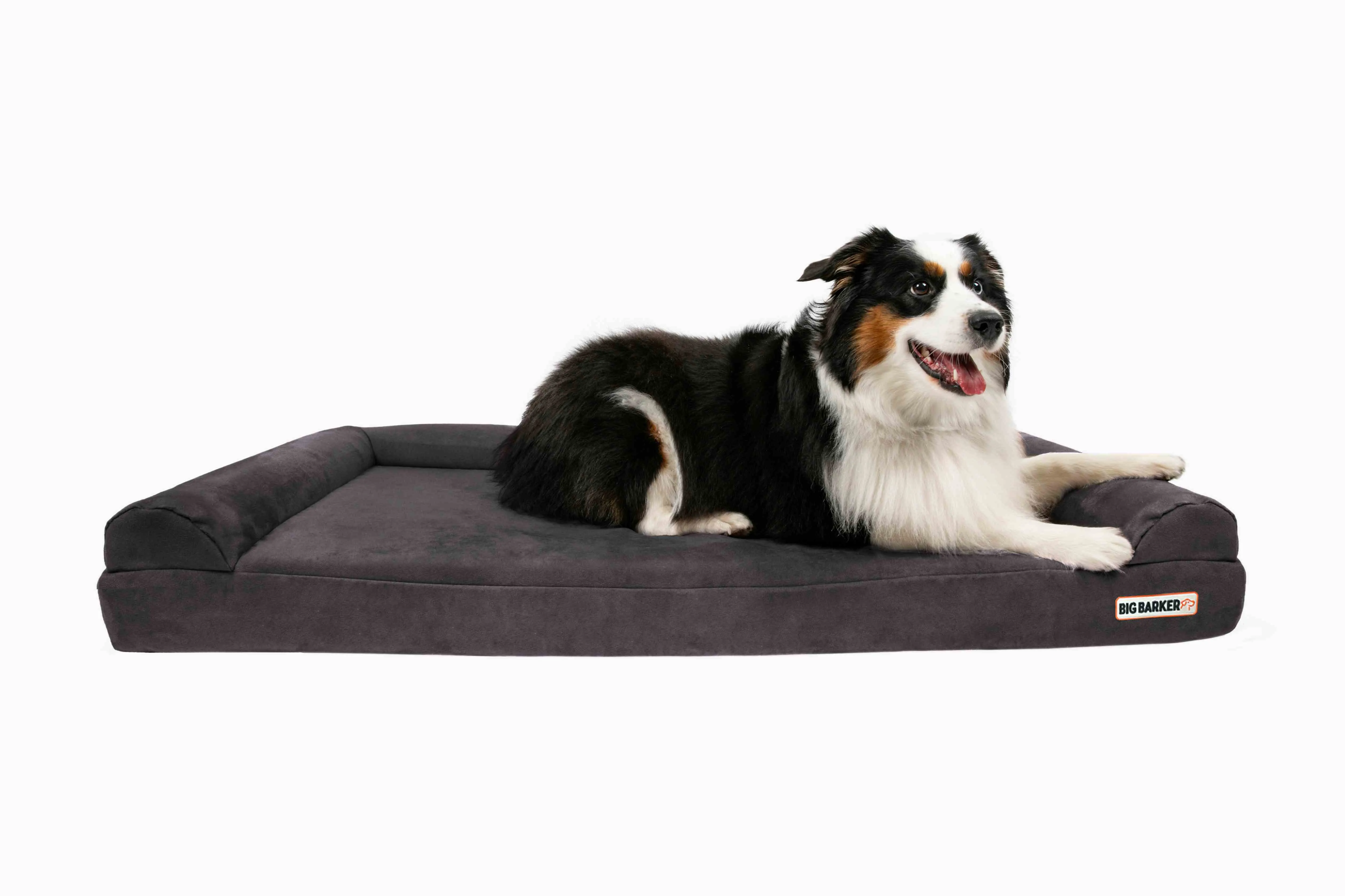 4" Orthopedic Sofa Bed