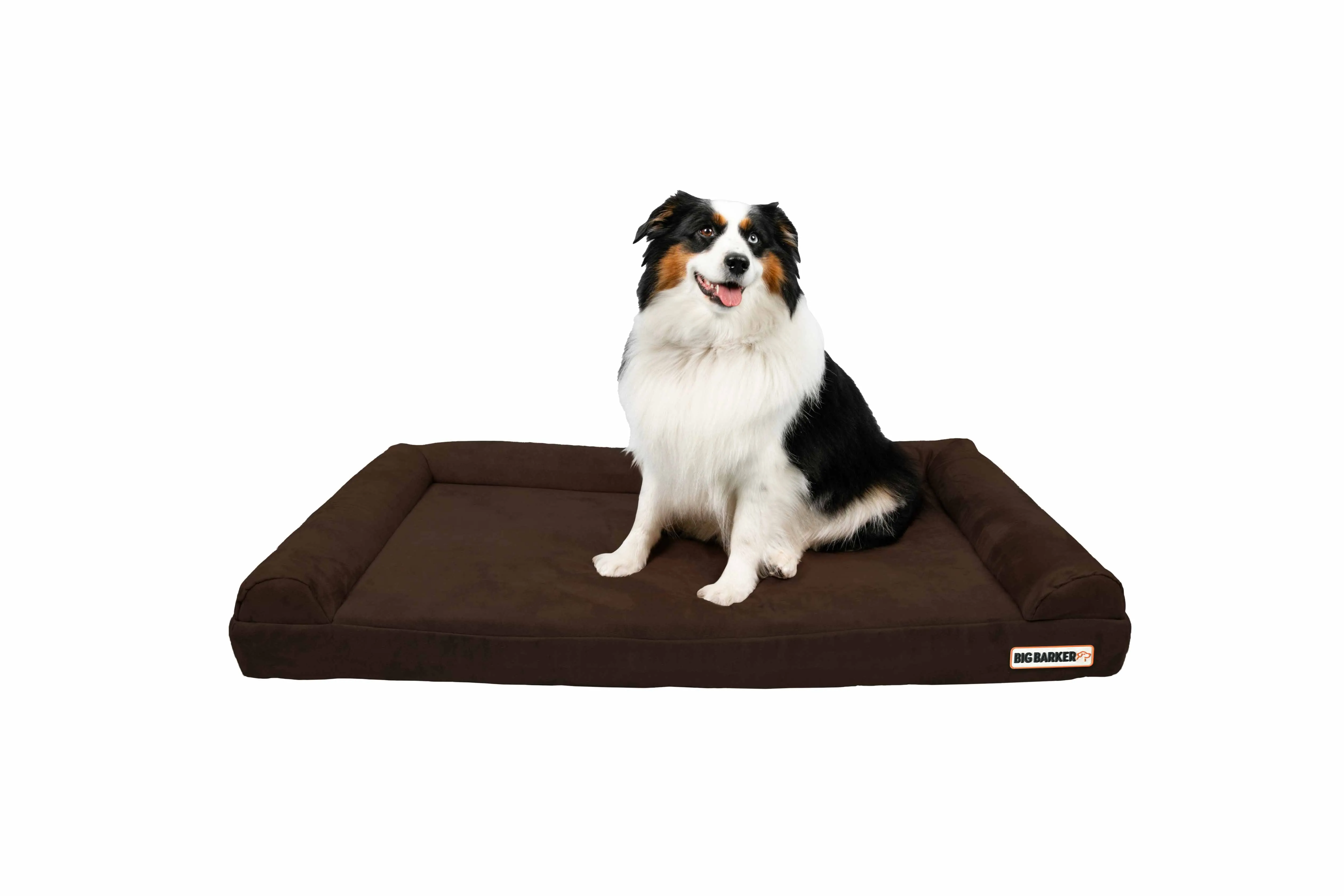 4" Orthopedic Sofa Bed