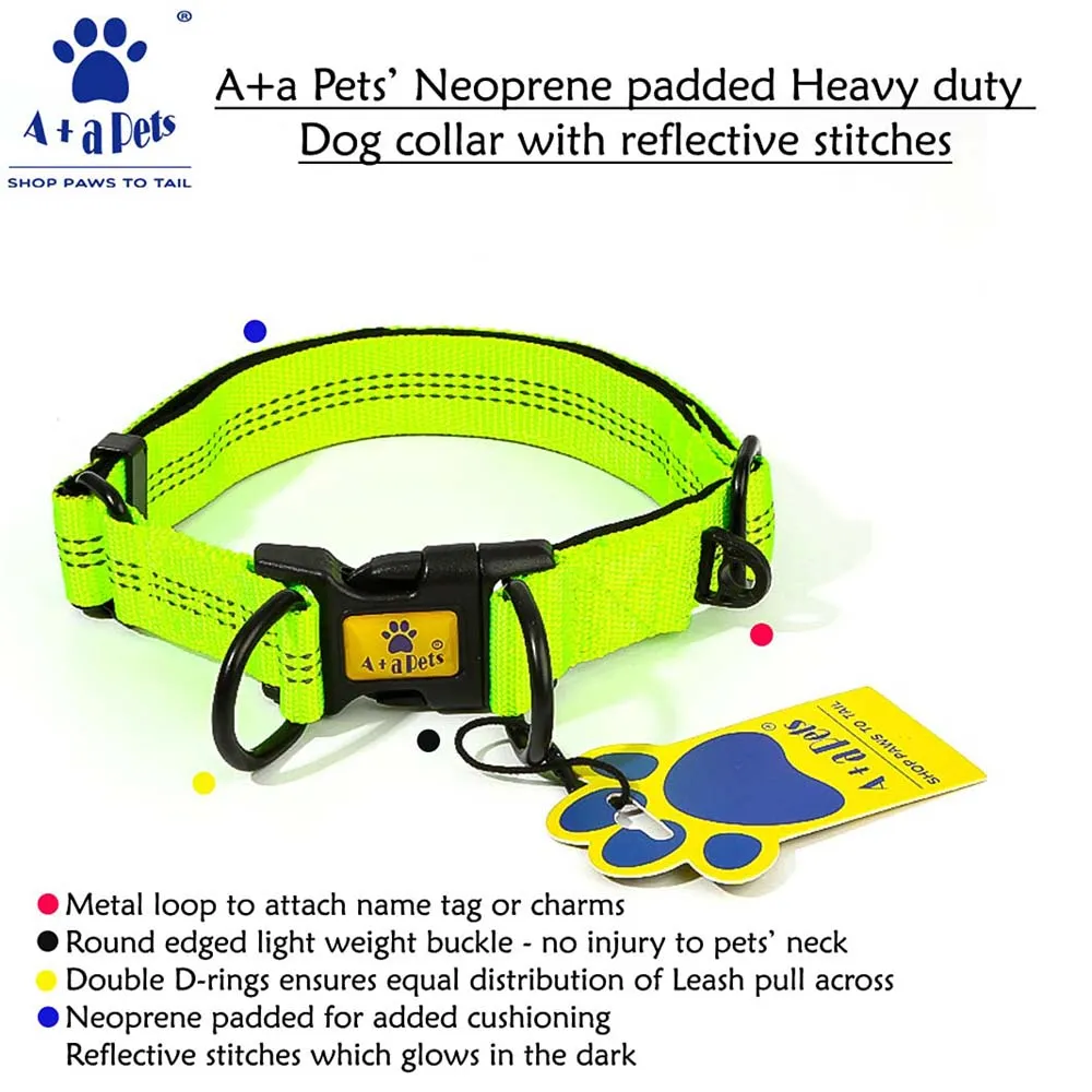 A a Pets' Neoprene Padded Reflective Collar - Green
