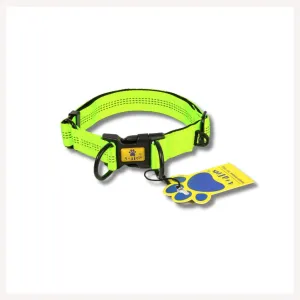 A a Pets' Neoprene Padded Reflective Collar - Green