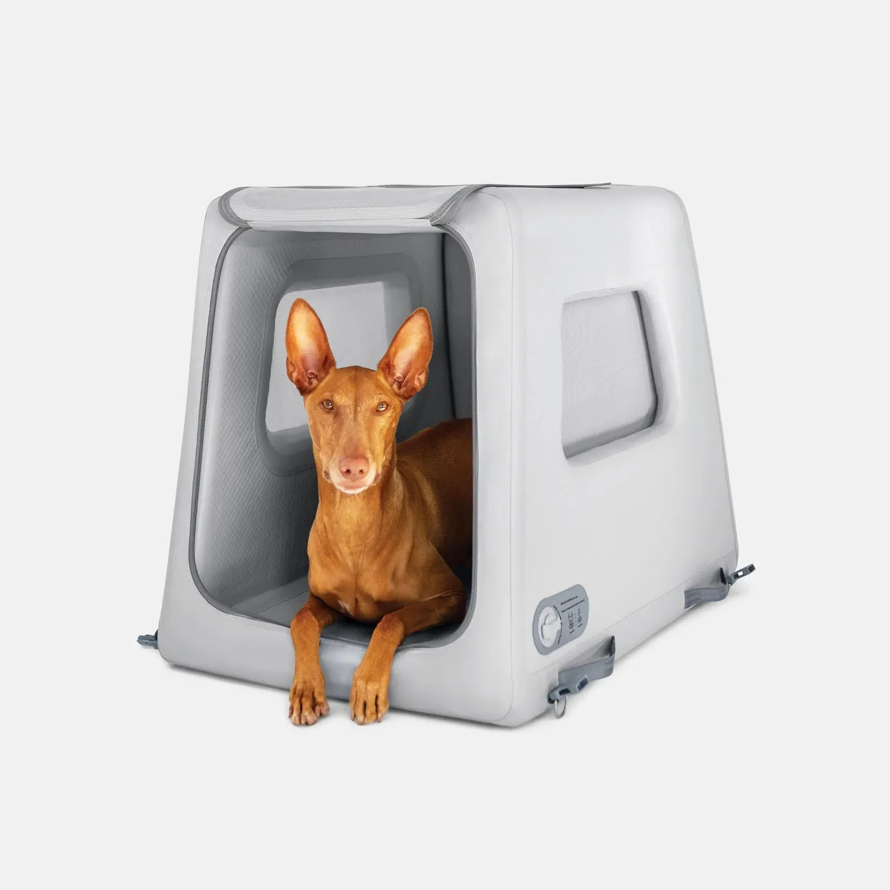 Available to Order 2-6 Weeks: Diggs Enventur Inflatable Dog Kennel - Safe for Car Travel
