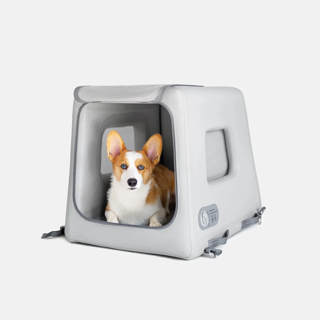 Available to Order 2-6 Weeks: Diggs Enventur Inflatable Dog Kennel - Safe for Car Travel