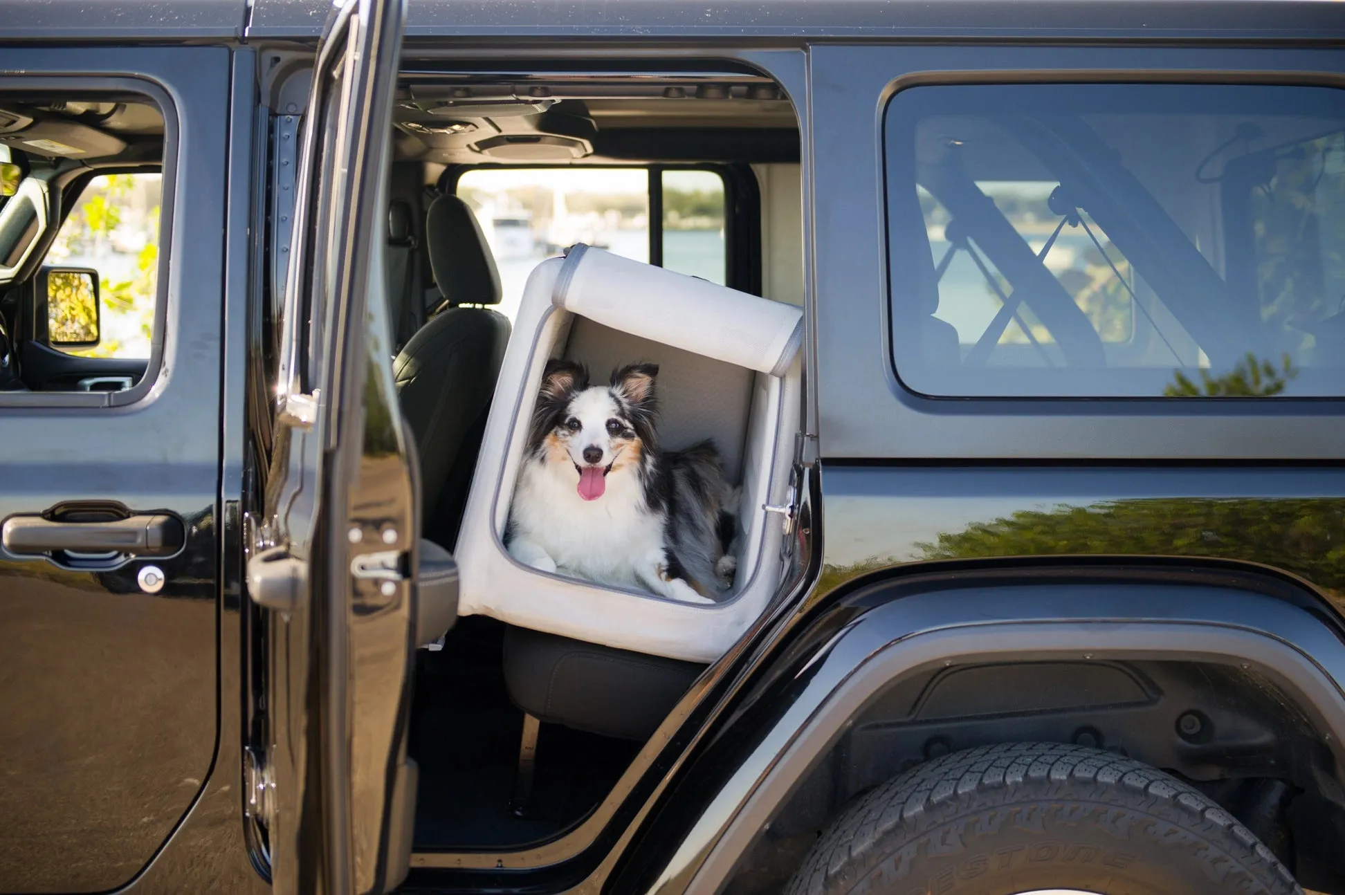 Available to Order 2-6 Weeks: Diggs Enventur Inflatable Dog Kennel - Safe for Car Travel