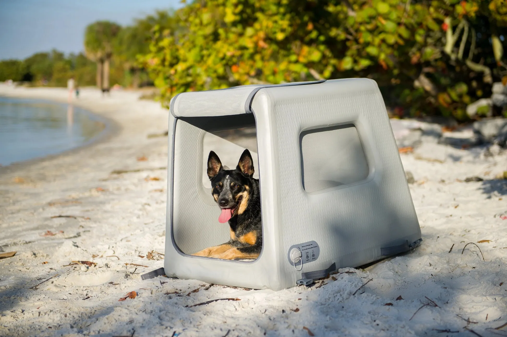 Available to Order 2-6 Weeks: Diggs Enventur Inflatable Dog Kennel - Safe for Car Travel