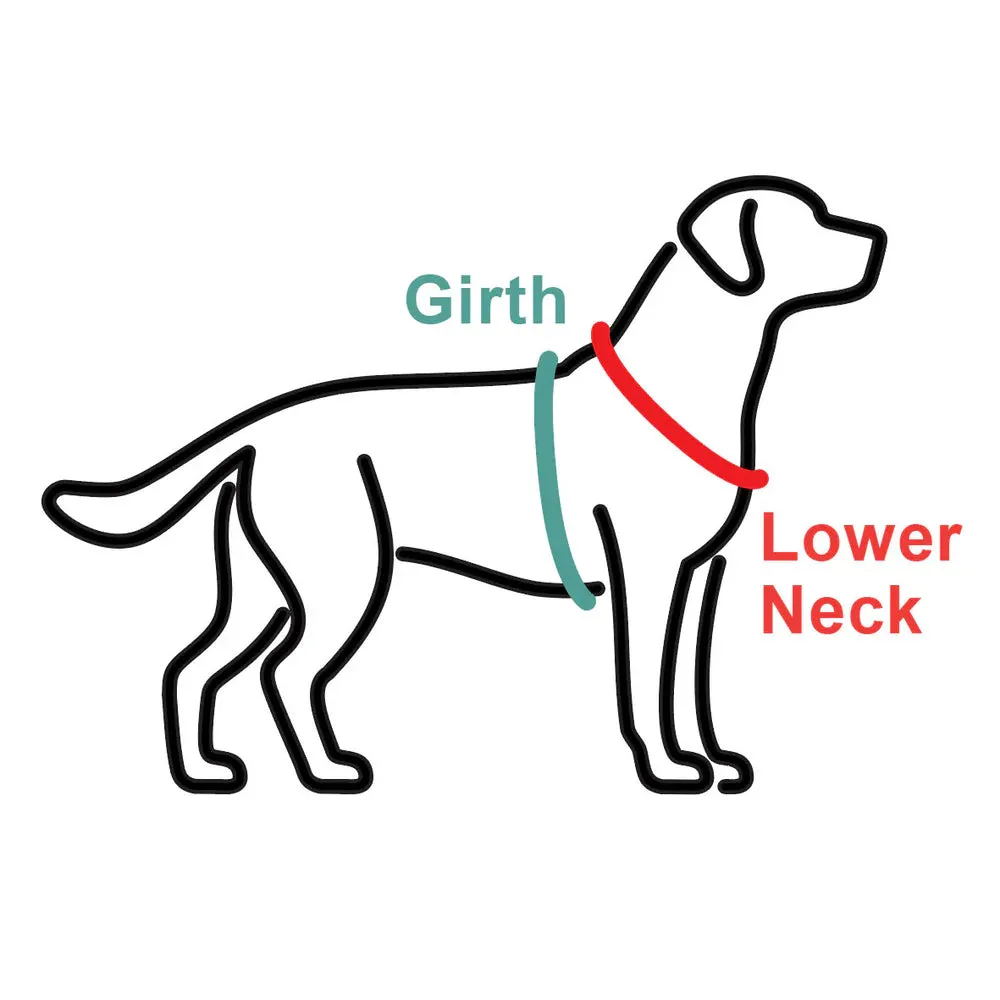 Black Dog Mesh Dog Harness