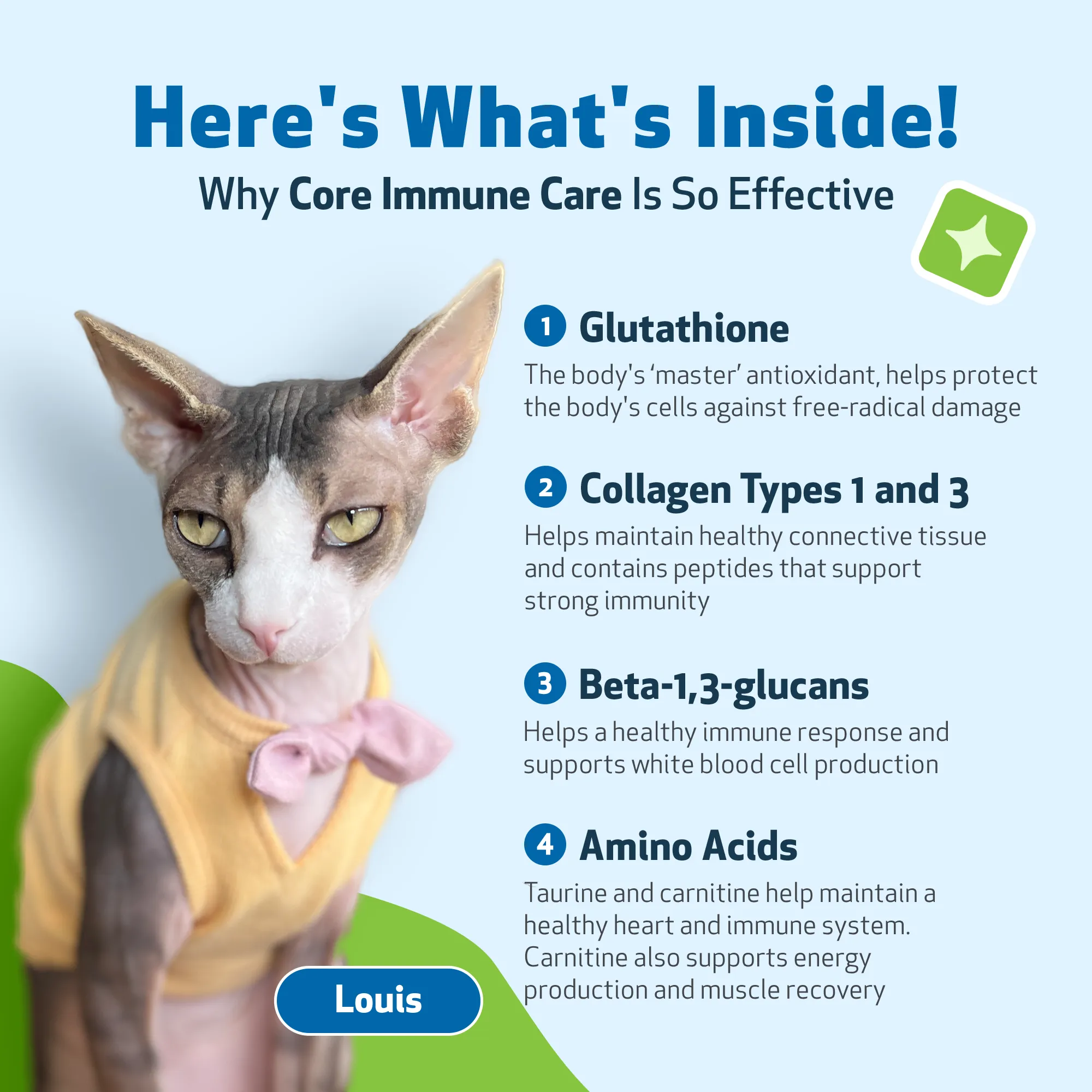 CORE IMMUNE CARE - Daily Antioxidant Support for Dogs & Cats