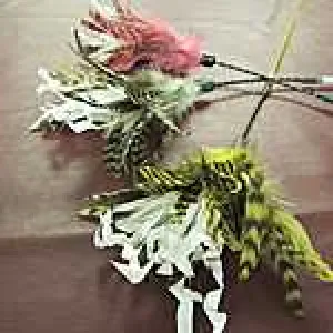 Crinkle Feather Toy