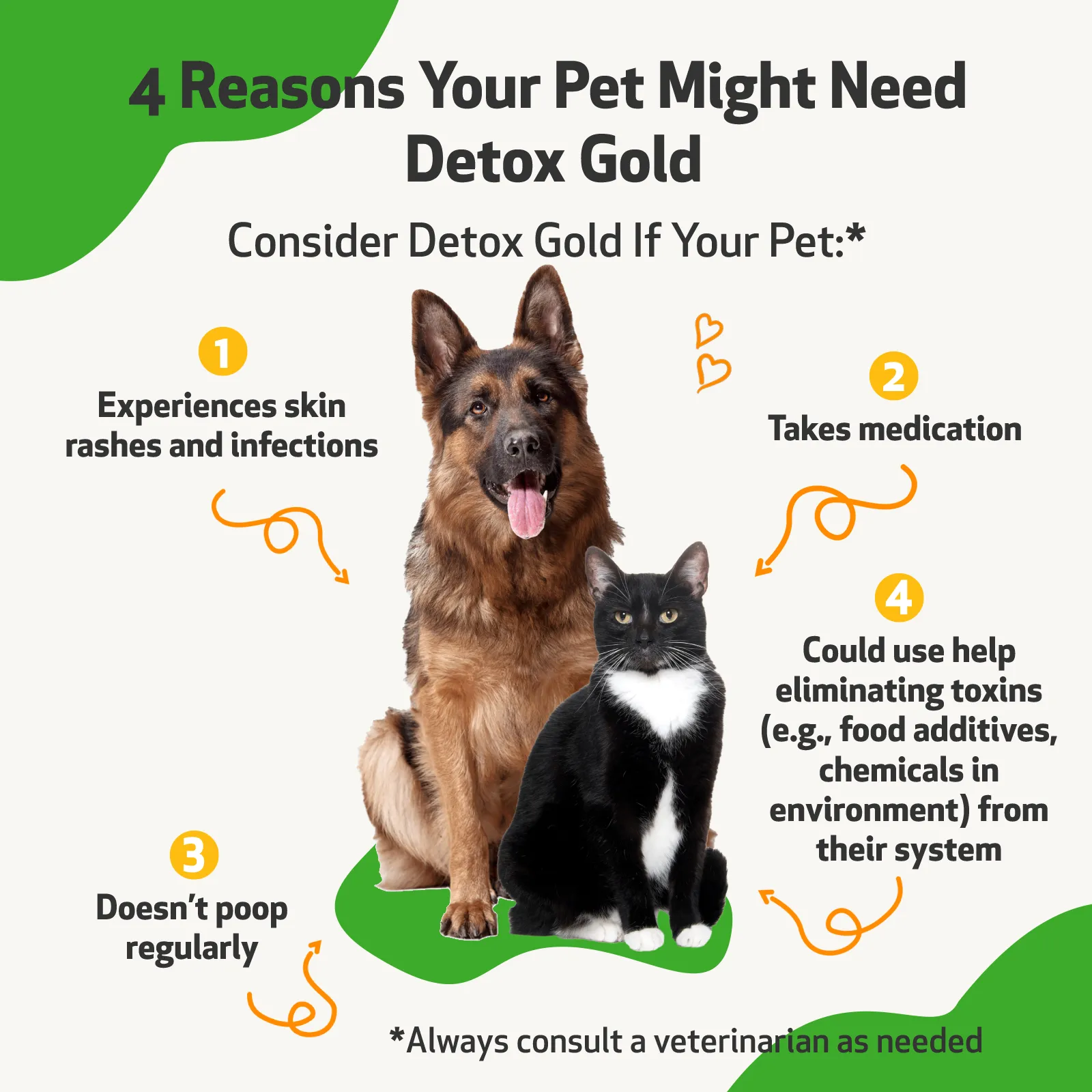 Detox Gold - Supports Healthy Detoxification & Elimination for Dogs