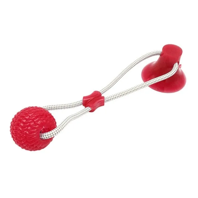 Dogs Interactive Suction Cup Push