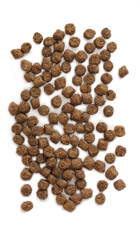 Earthborn Holistic® Wild Sea Catch™ Grain-Free Cat Food Multi Sizes