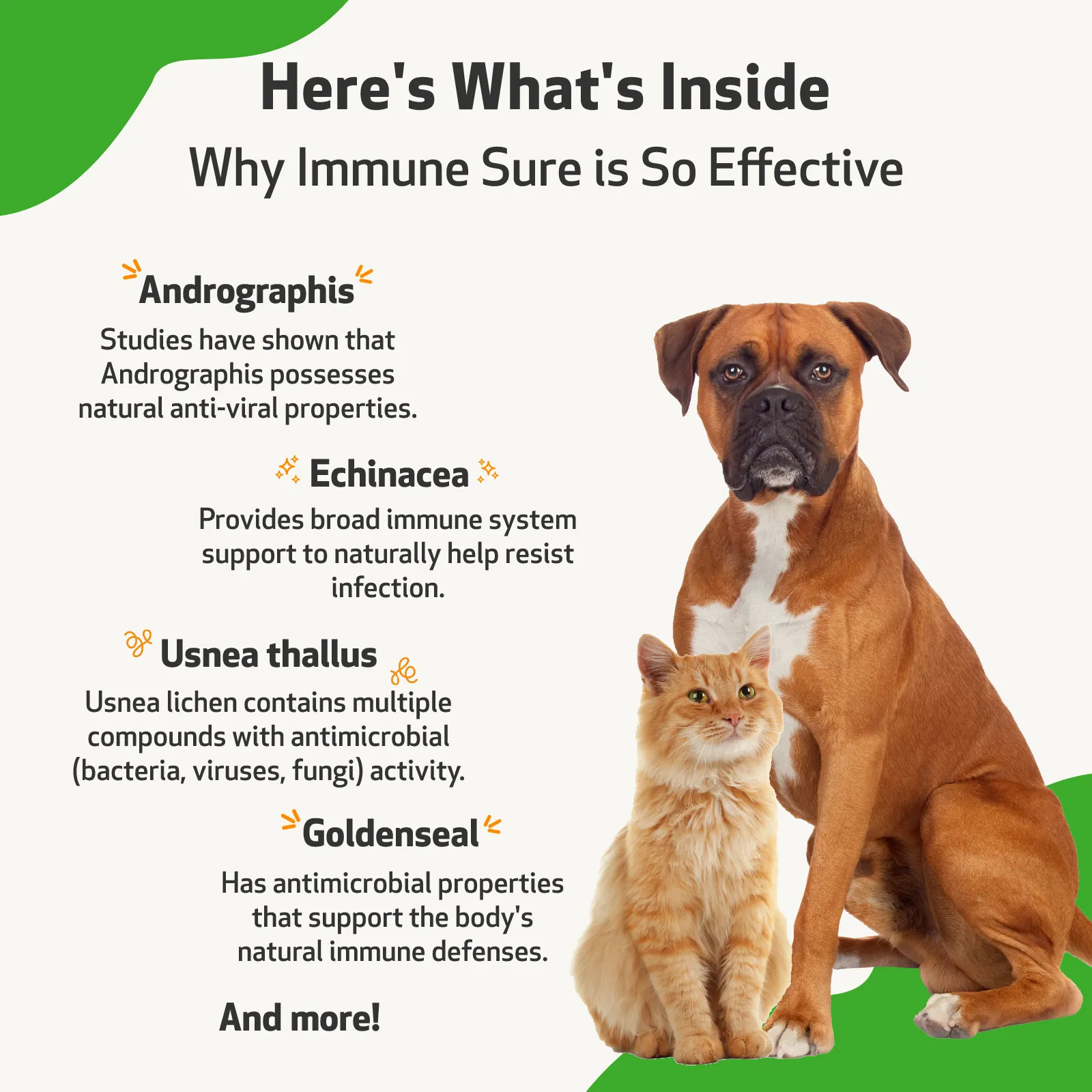 Immune SURE - for Canine Immune System Support