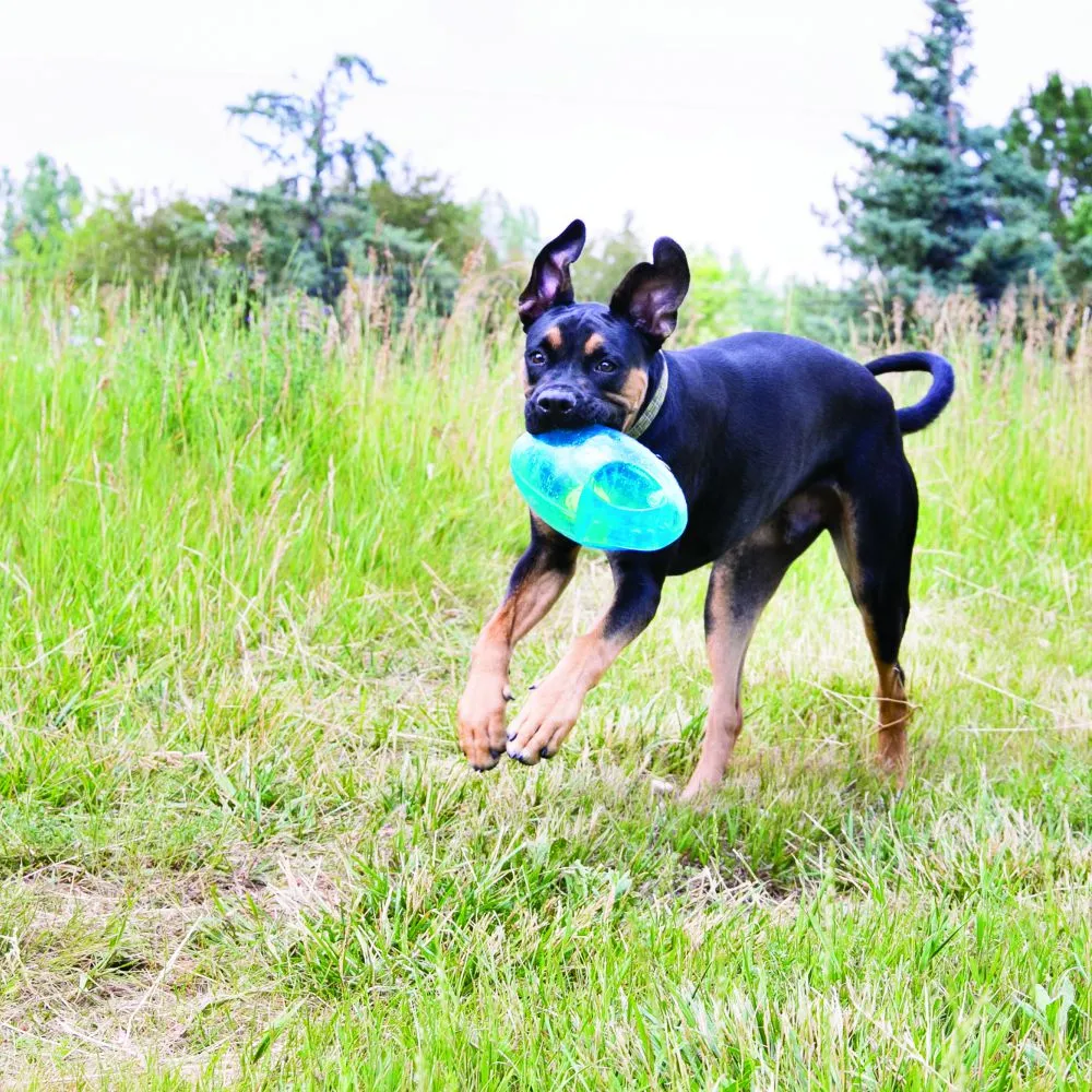 Jumbler Football Dog Toy