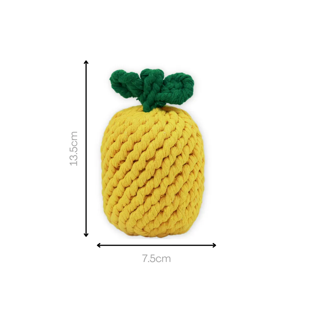 Knotty Large Pineapple Rope Toy